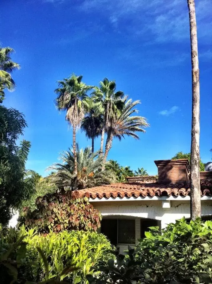 Patio, Property Building in Hacienda Todos Los Santos