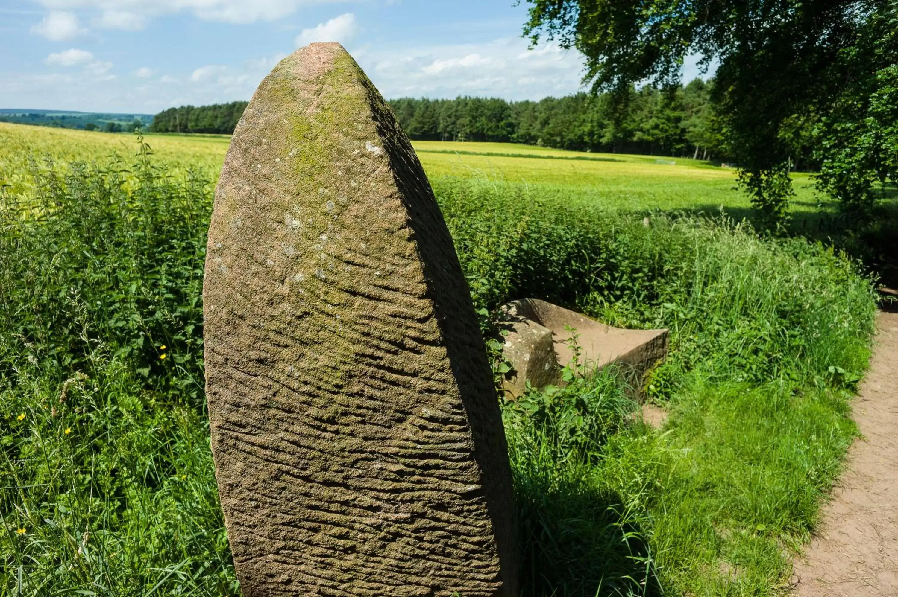 Natural landscape, Garden in Edenhall Country Hotel