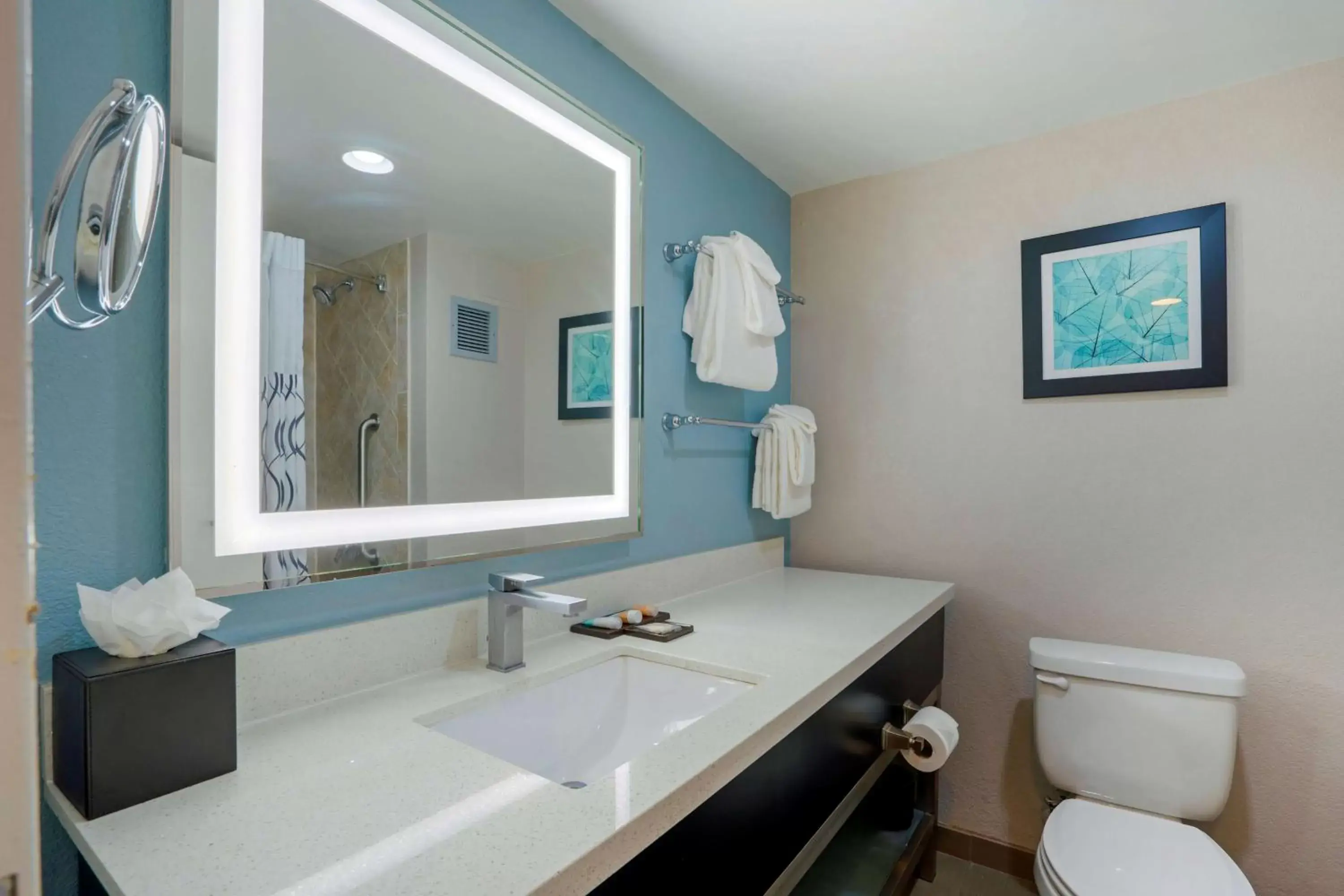 Bathroom in Premier Jacksonville Deerwood Hotel