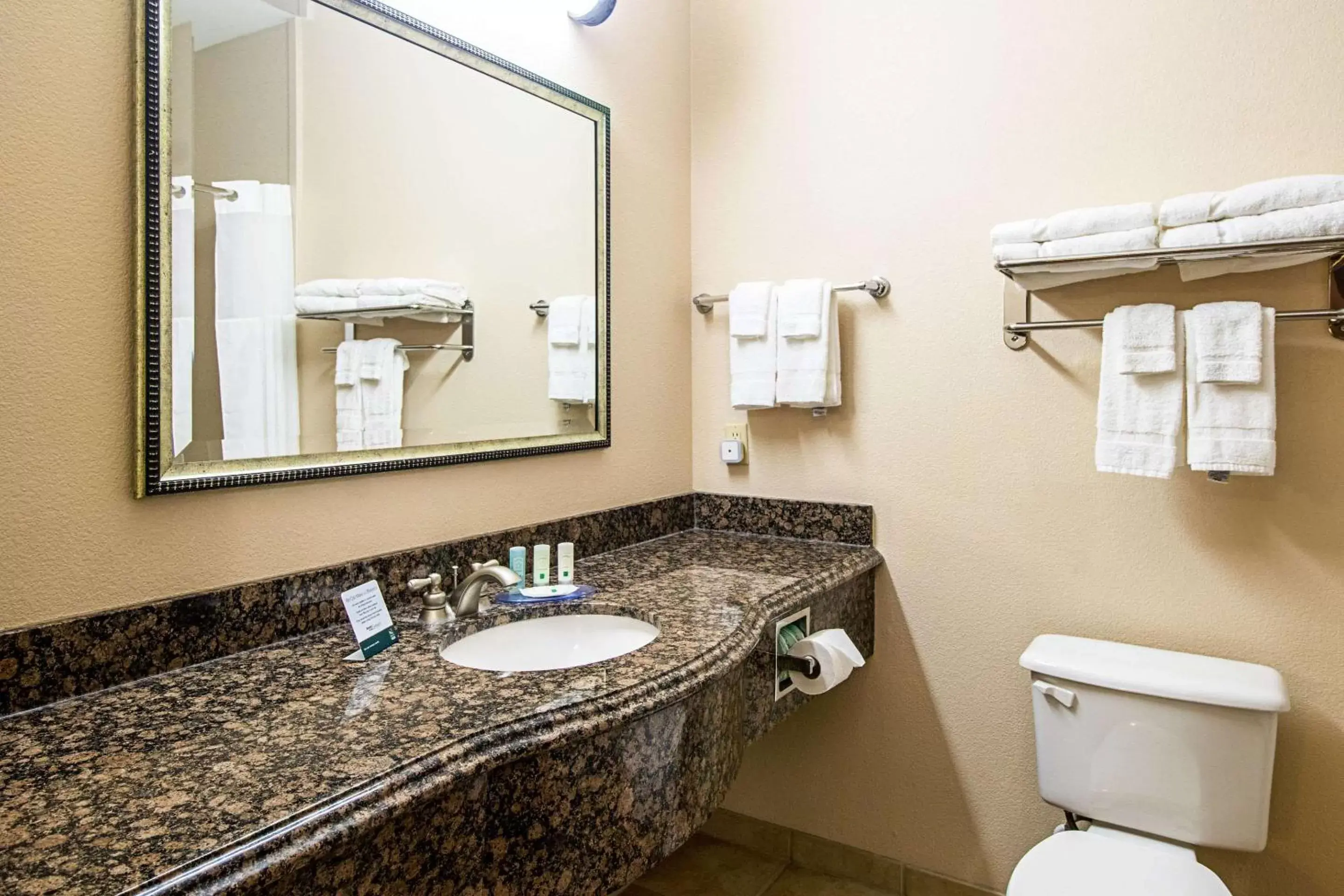 Bedroom, Bathroom in Quality Inn & Suites