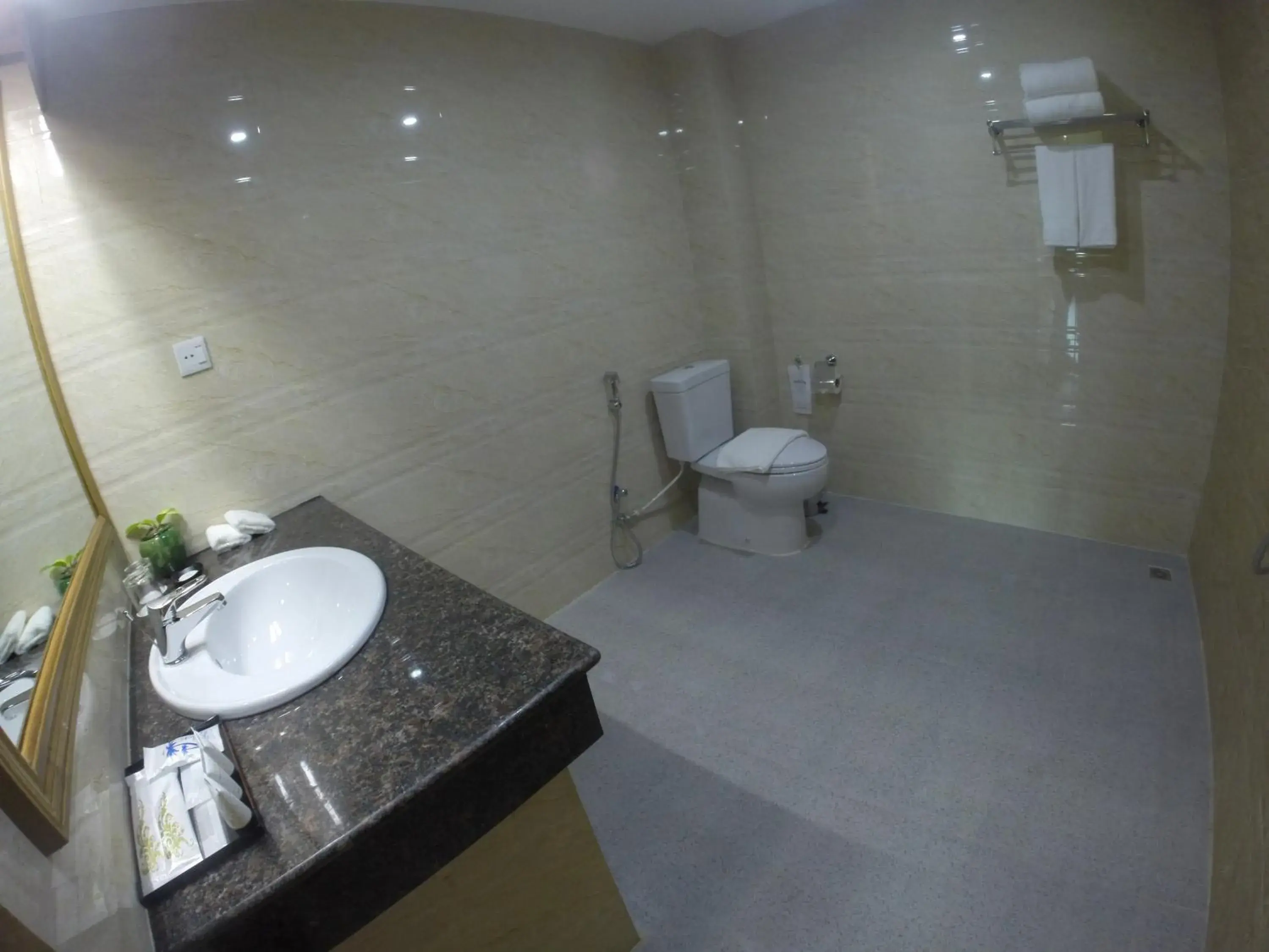 Toilet, Bathroom in Silver Green Hotel