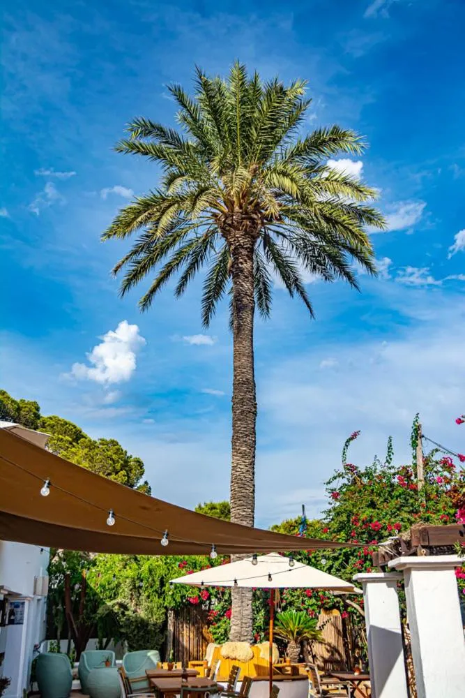 Spring in Boutique Hostal La Curandera de Salinas