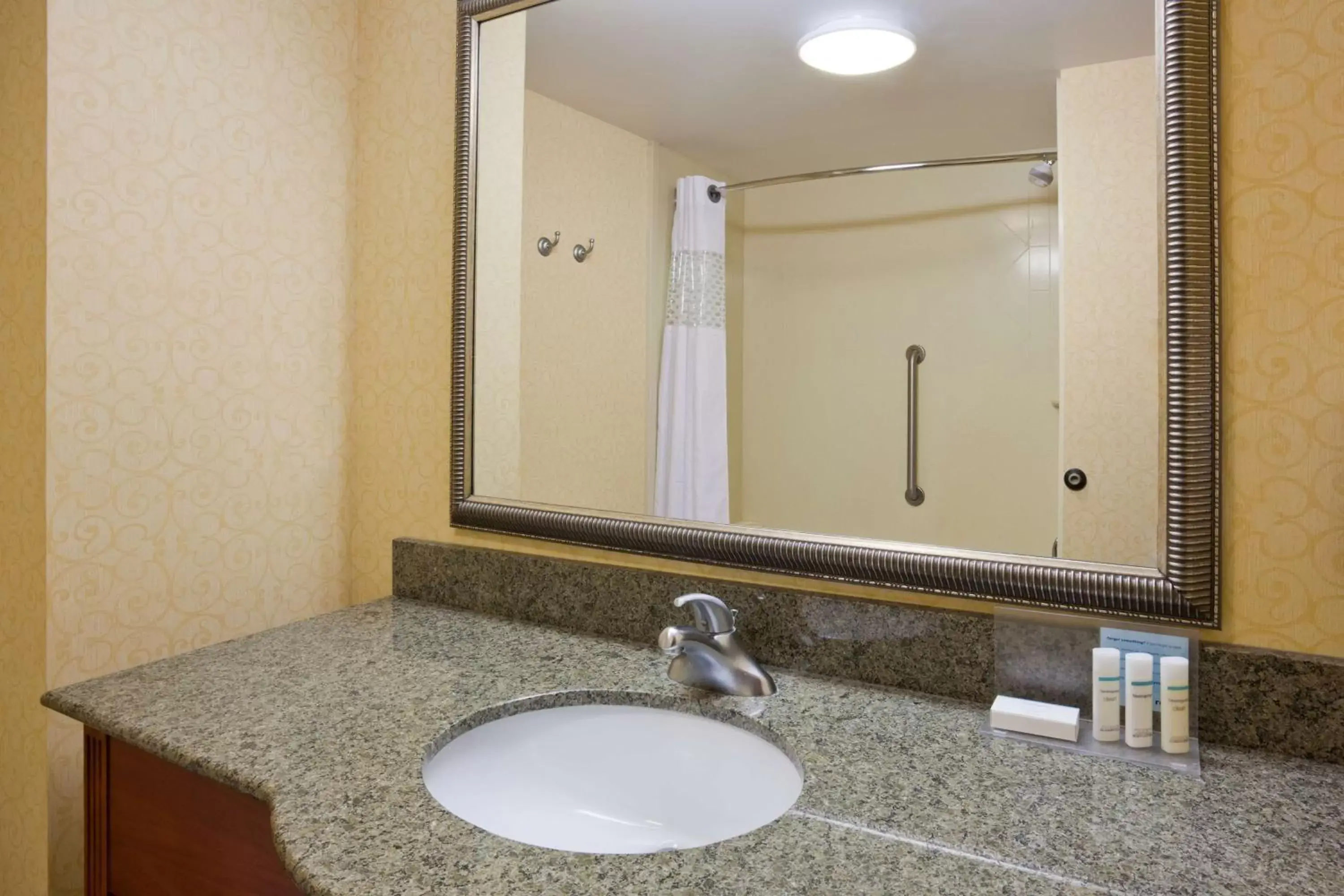 Bathroom in Hampton Inn & Suites Lino Lakes
