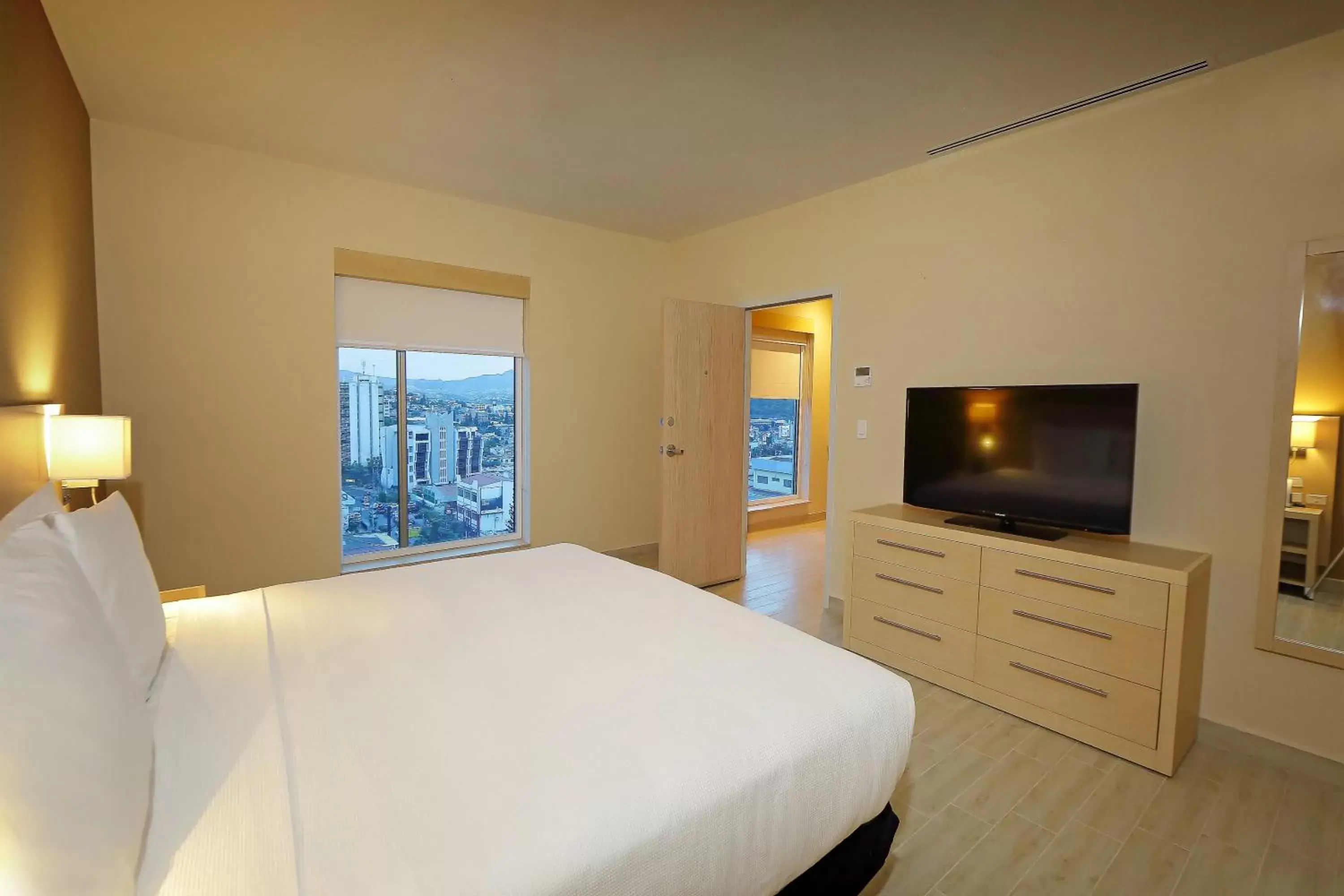 One-Bedroom King Suite with Sofa Bed in Hyatt Place Tegucigalpa