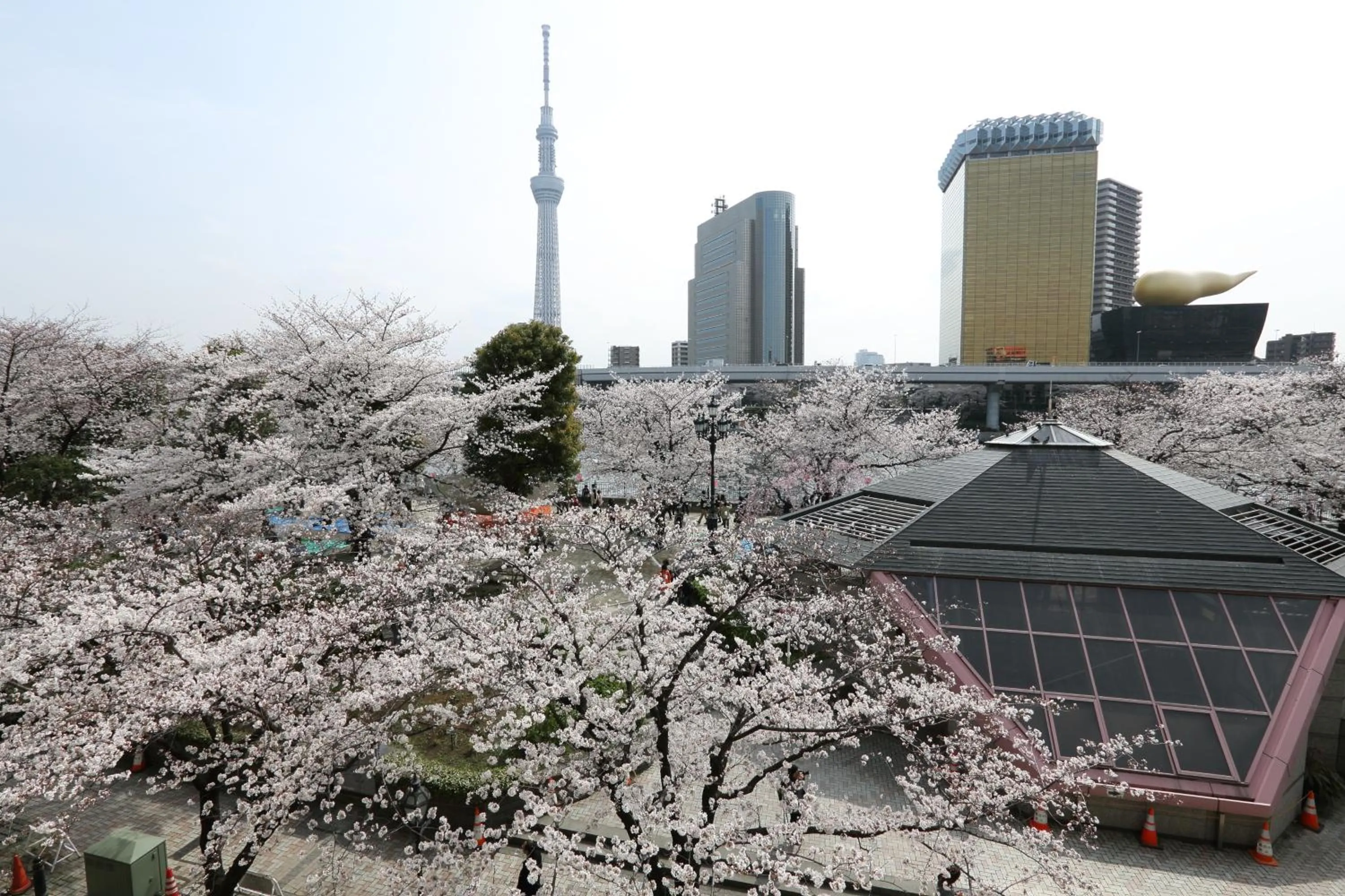 Seasons in Dormy Inn EXPRESS Asakusa