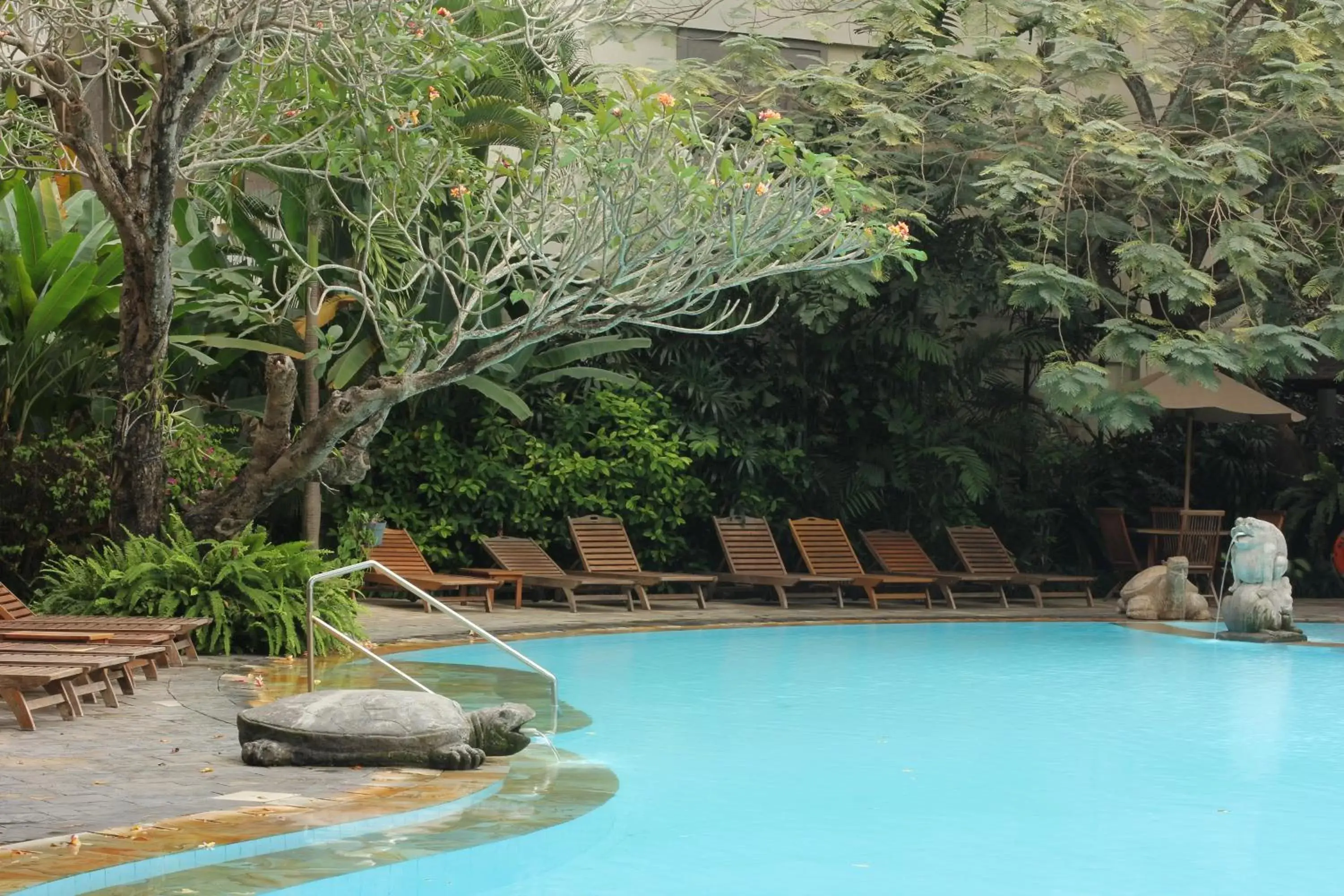 Swimming Pool in Hotel Kumala Pantai - CHSE Certified