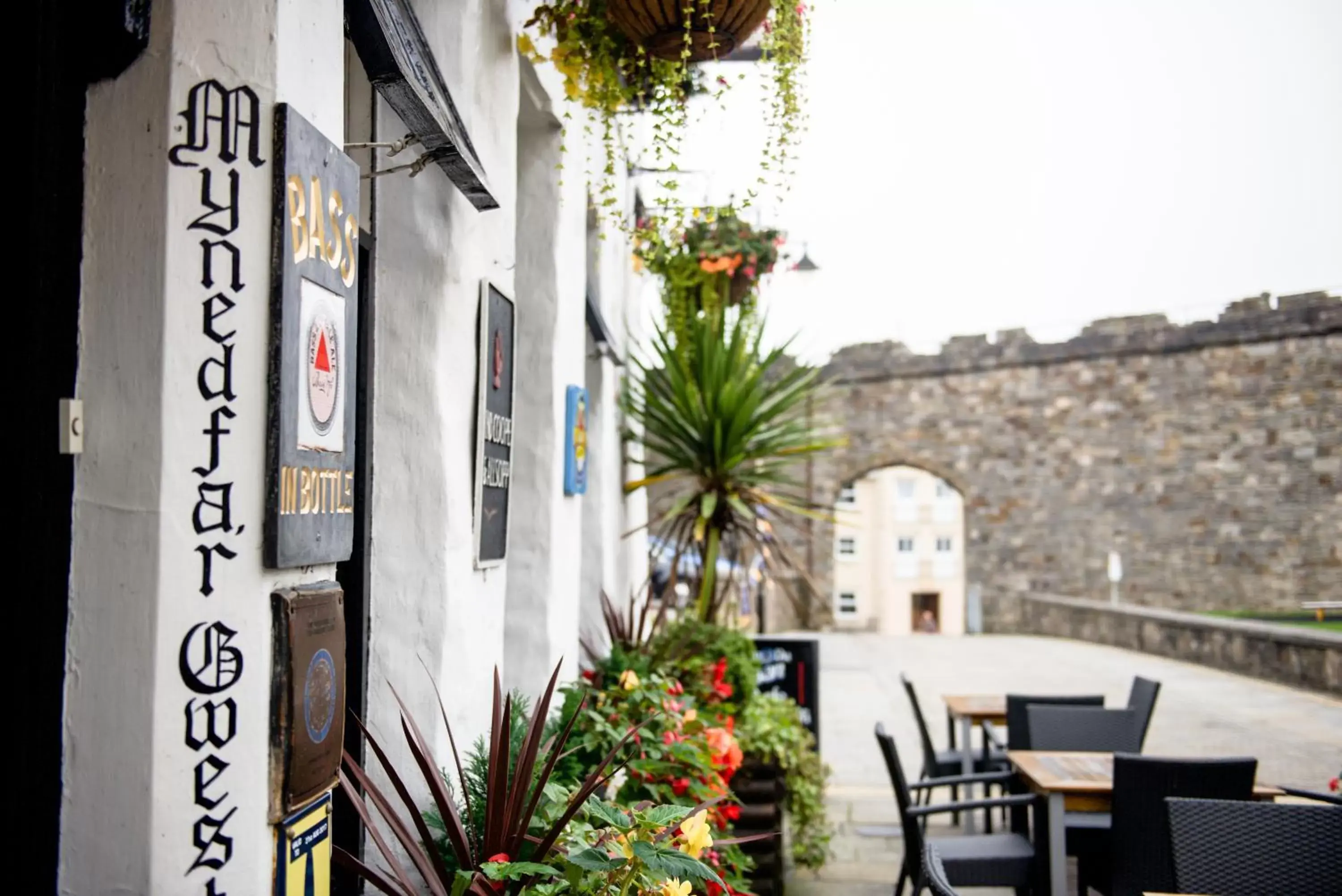 Garden, Property Building in The Black Boy Inn