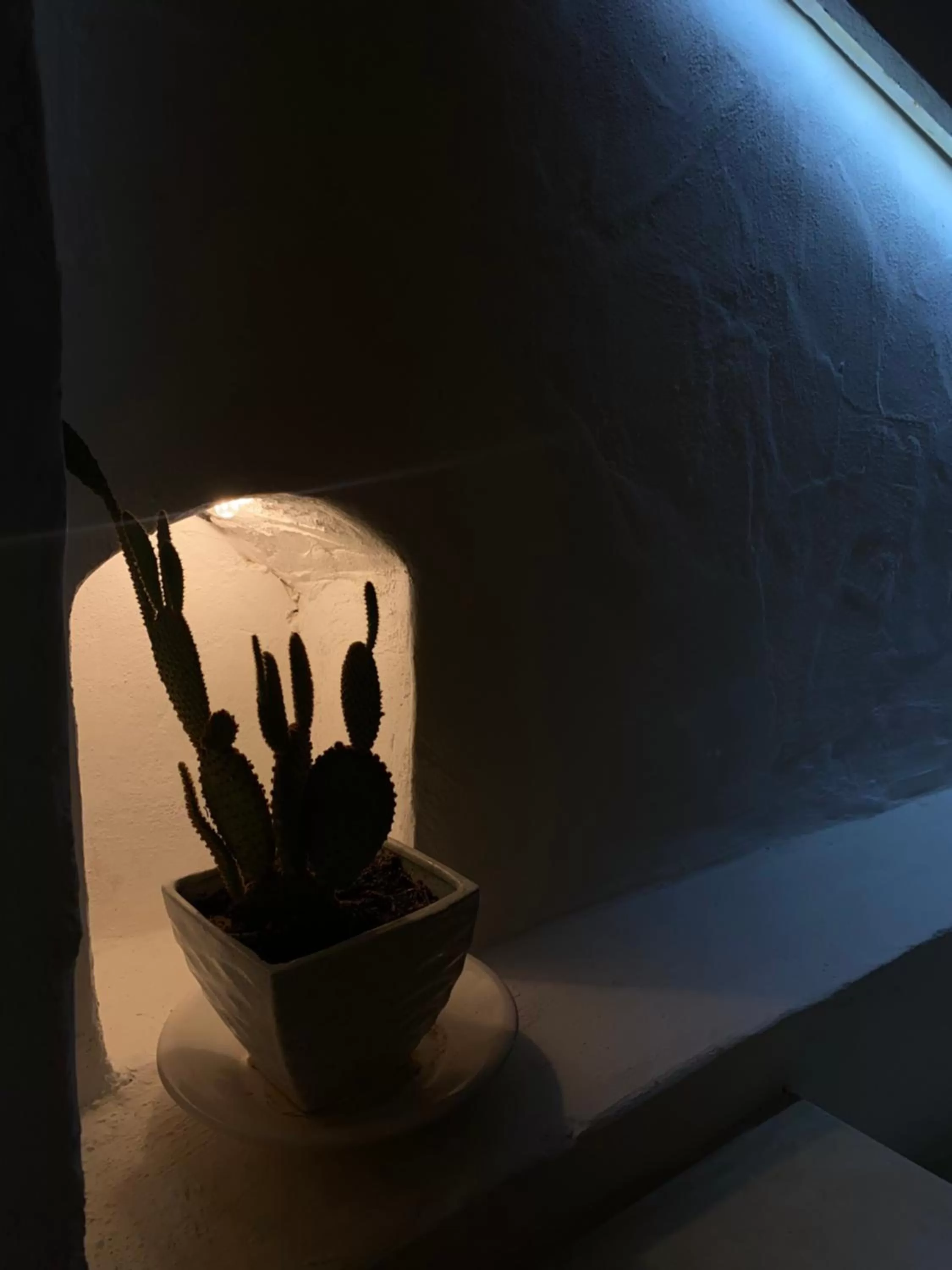 Decorative detail in Djerba Authentique