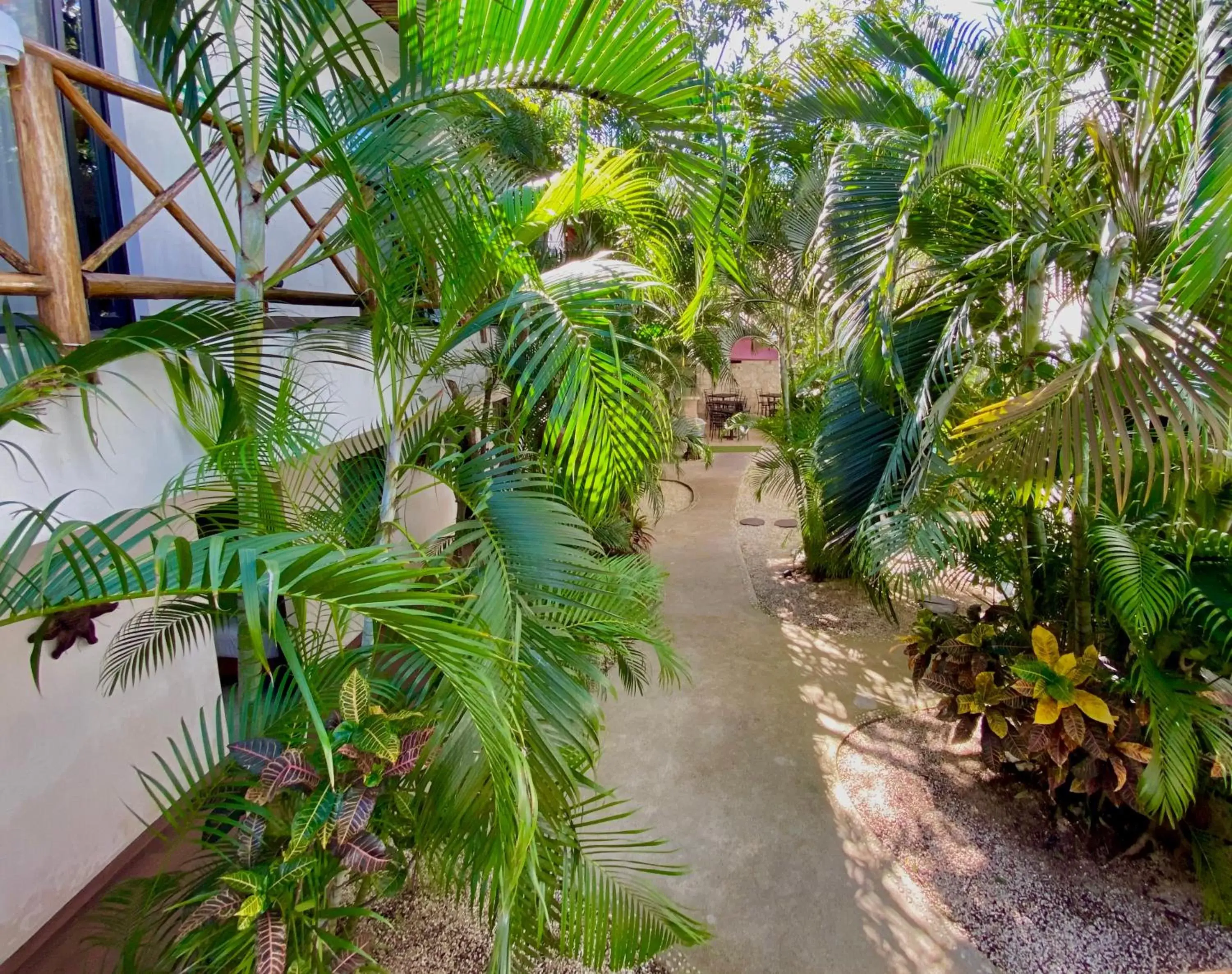 Garden in Pacha Tulum Boutique Hotel