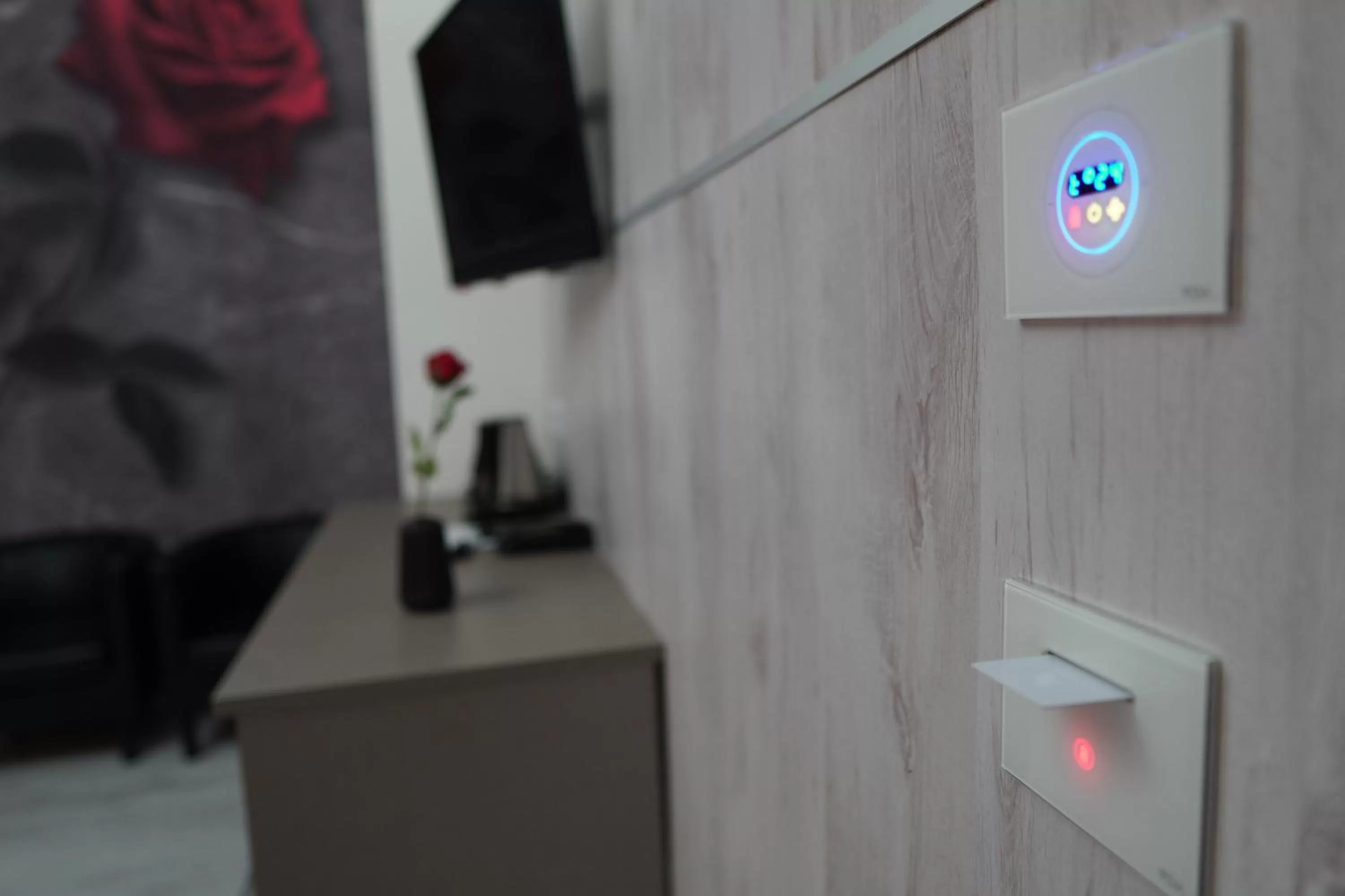 TV and multimedia in Hotel Canarino