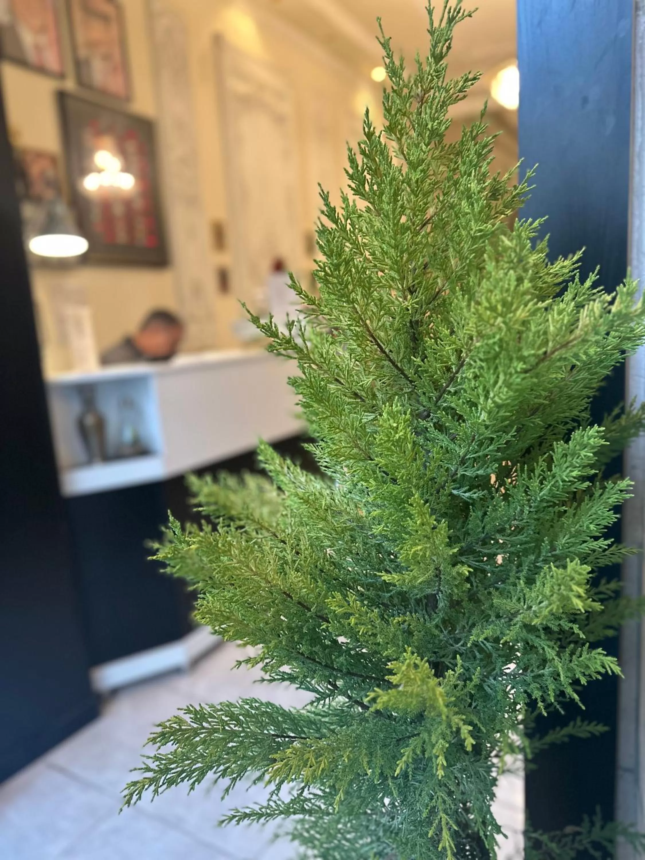 City Citadel Hotel,Amman