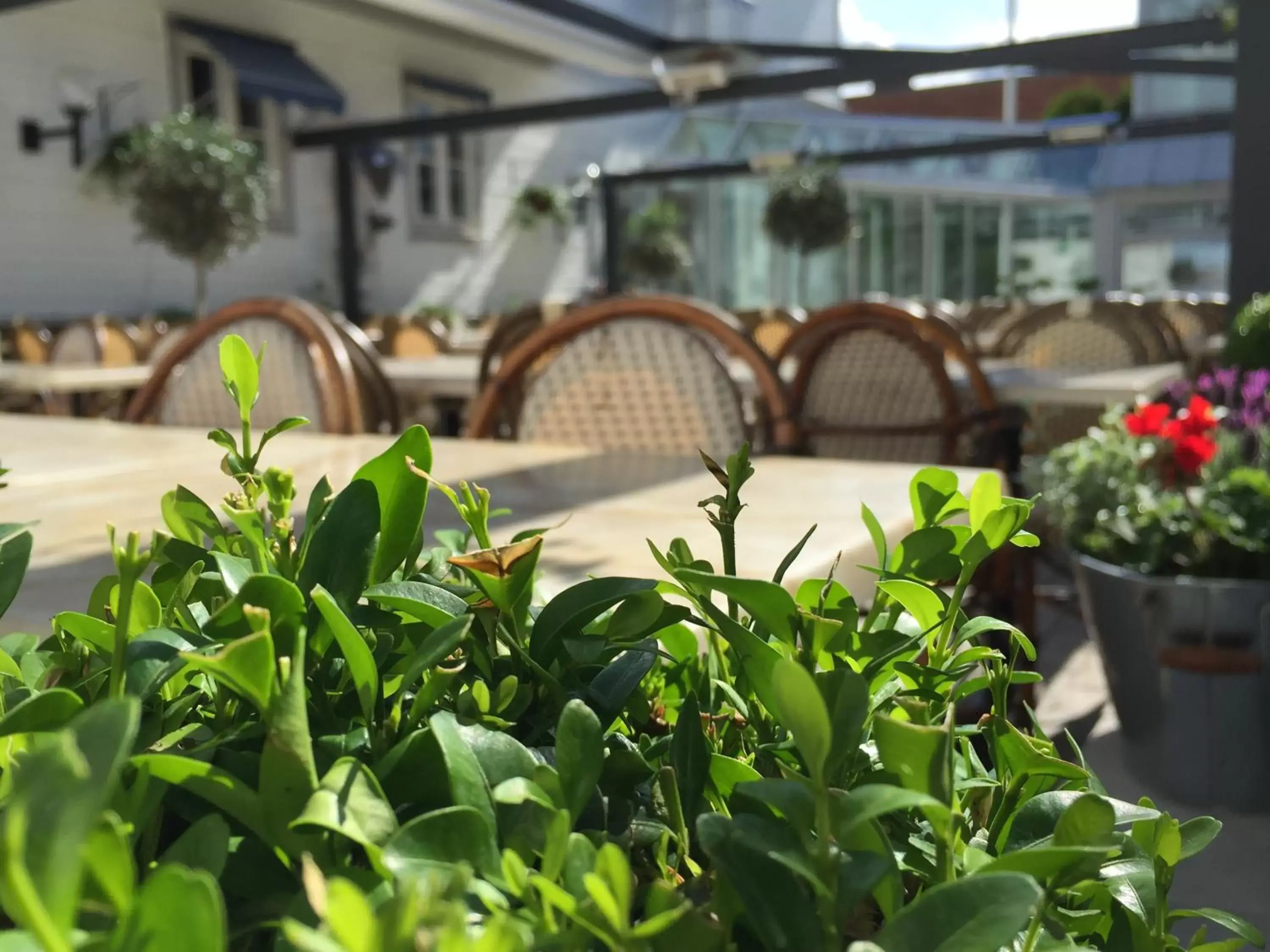 Inner courtyard view in Scandic Arvika Inner courtyard view in Scandic Arvika