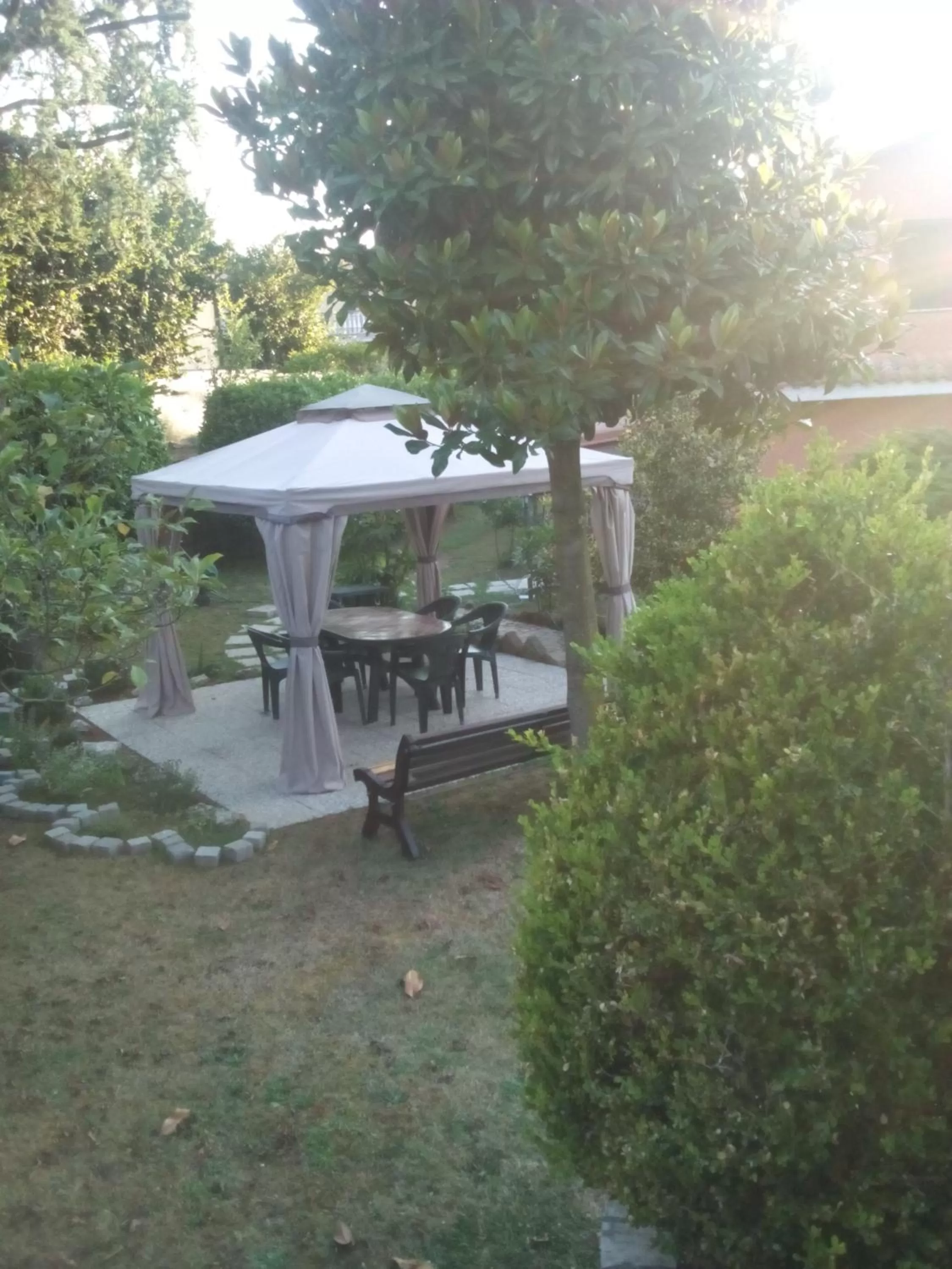 Garden in Il sottosopra