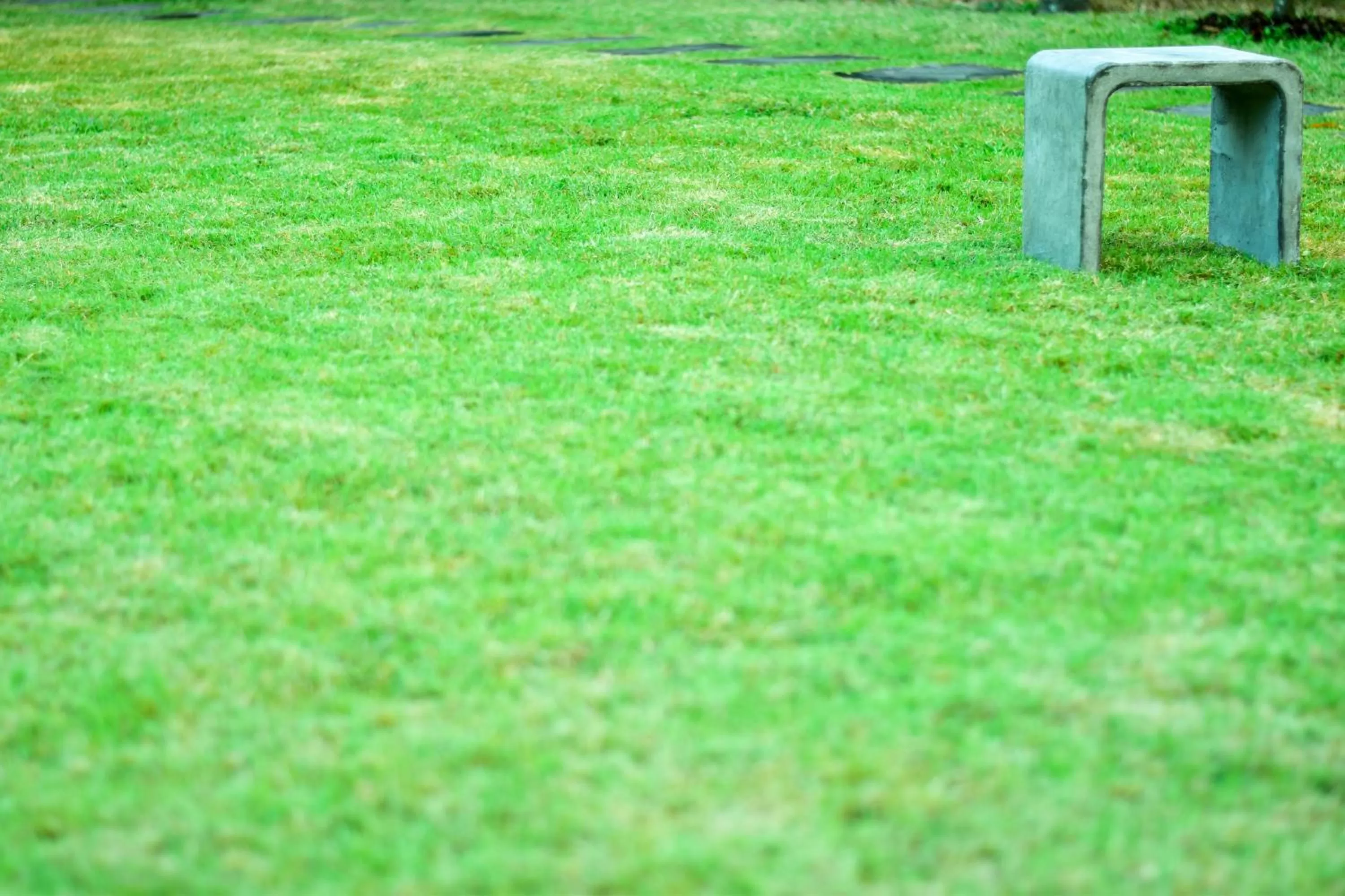 Garden in Chiang Mai Heritage House