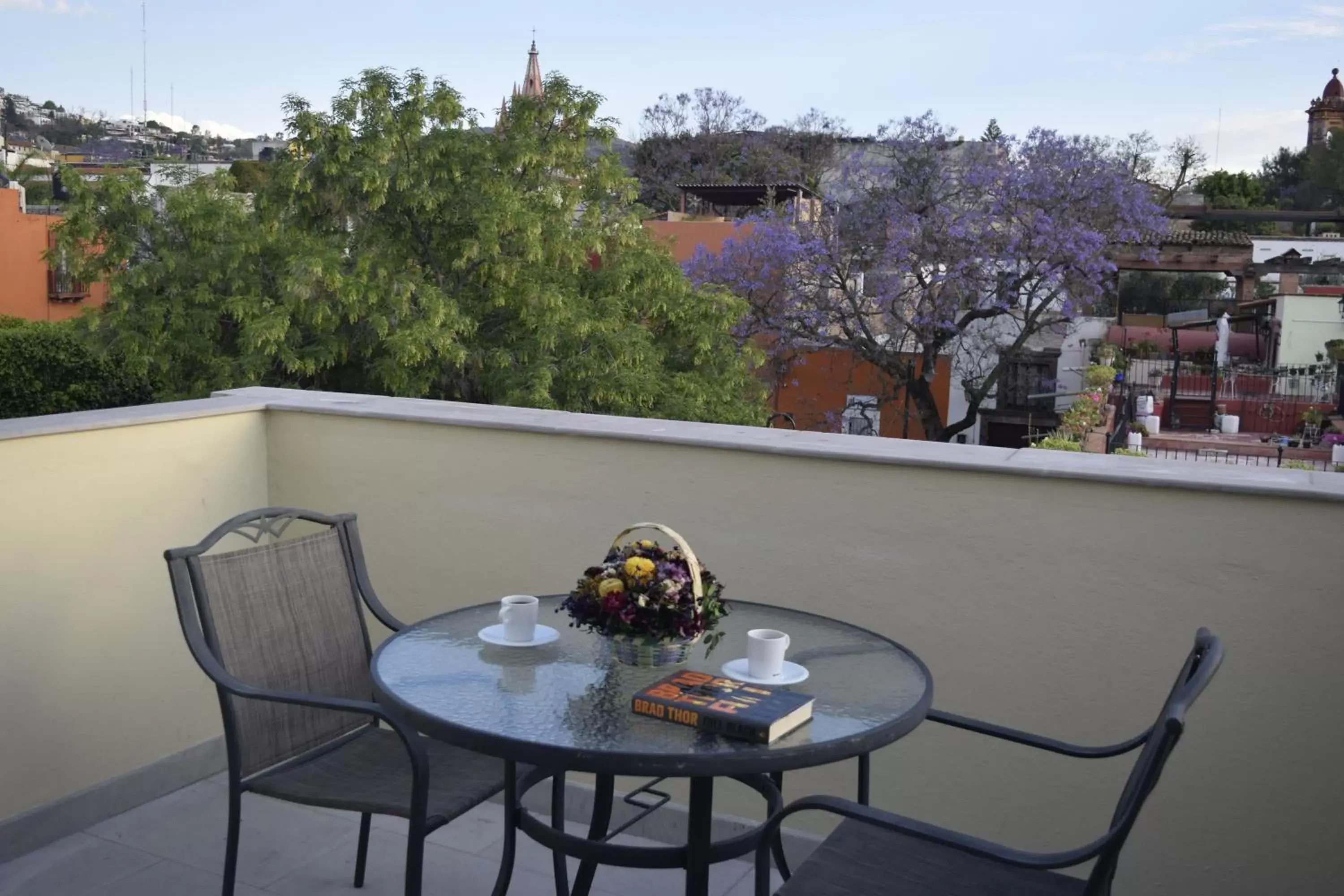 Balcony/Terrace in Hotel Origen