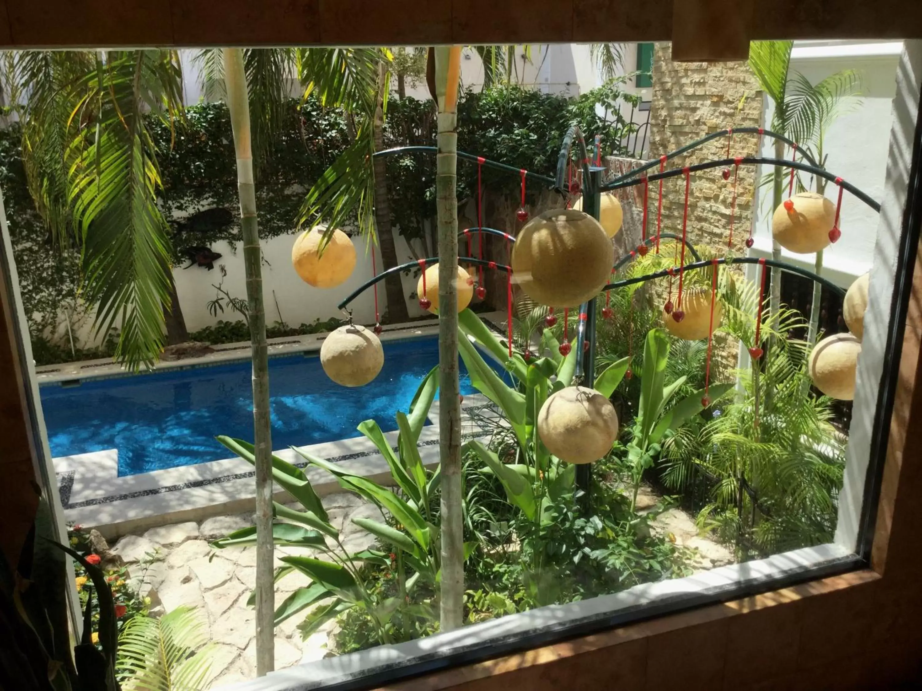 Swimming Pool in Hotel Las Golondrinas