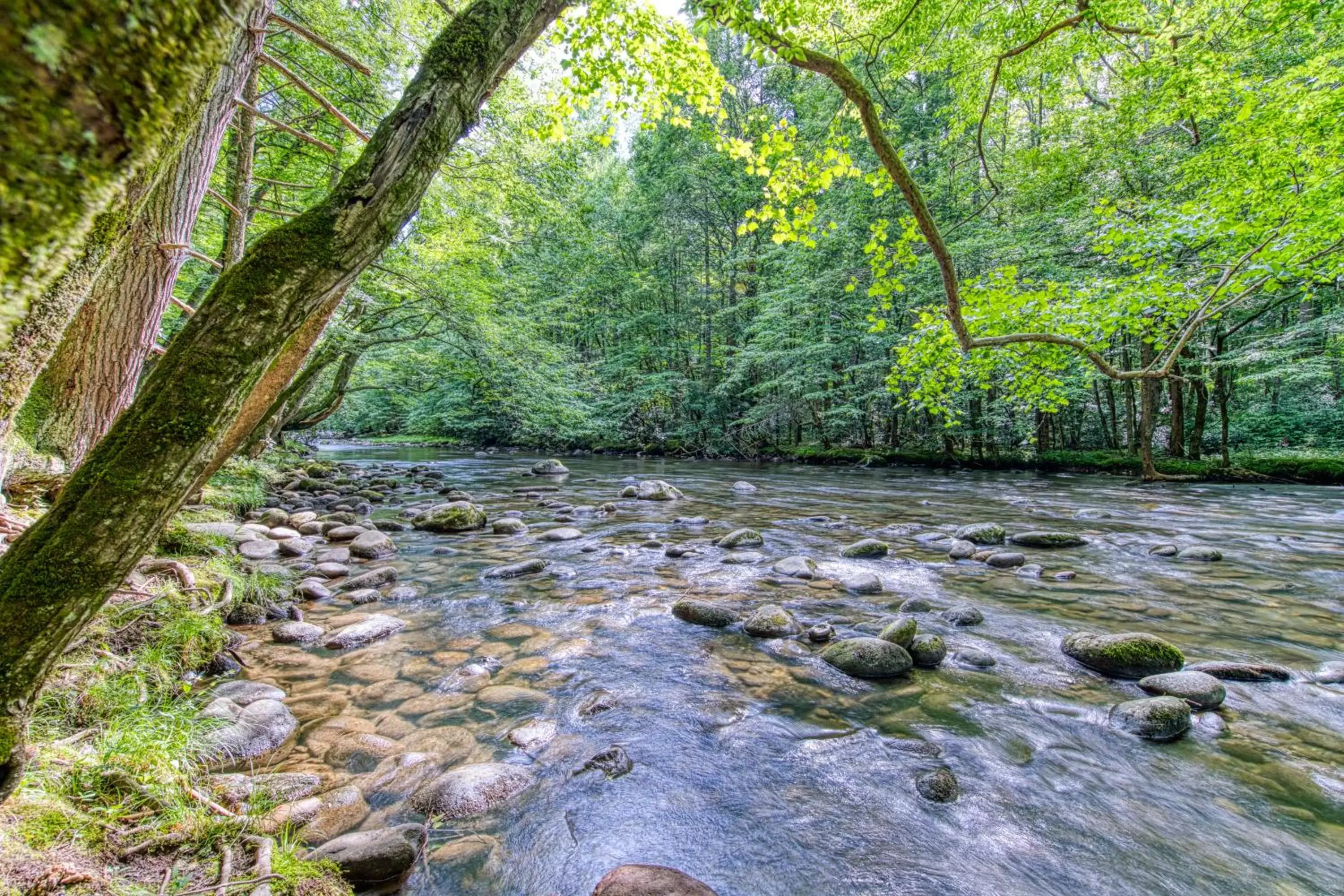 Natural Landscape in Summit Splendor