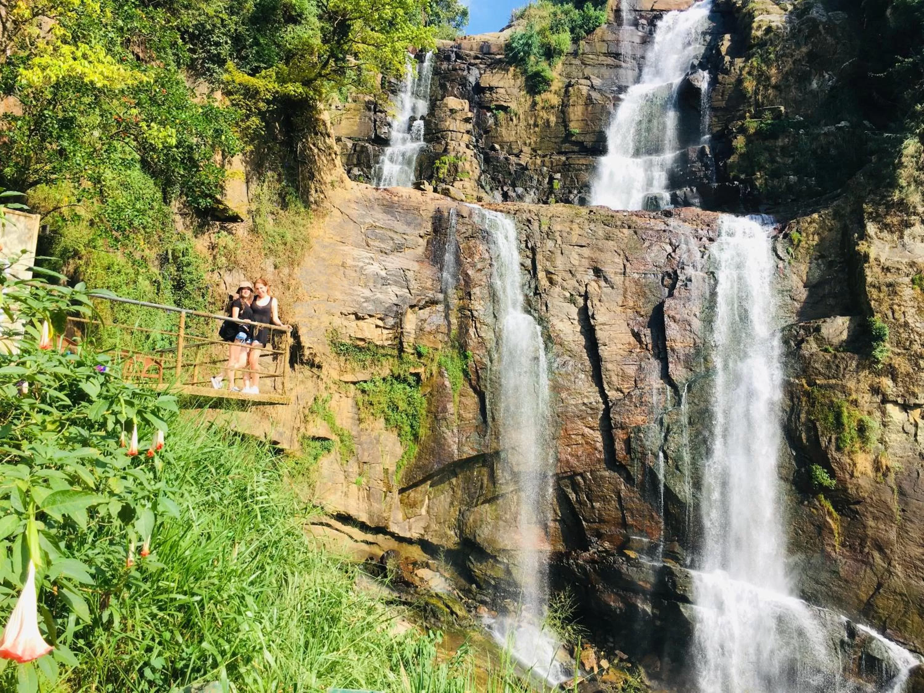 Natural Landscape in Golden King Guest