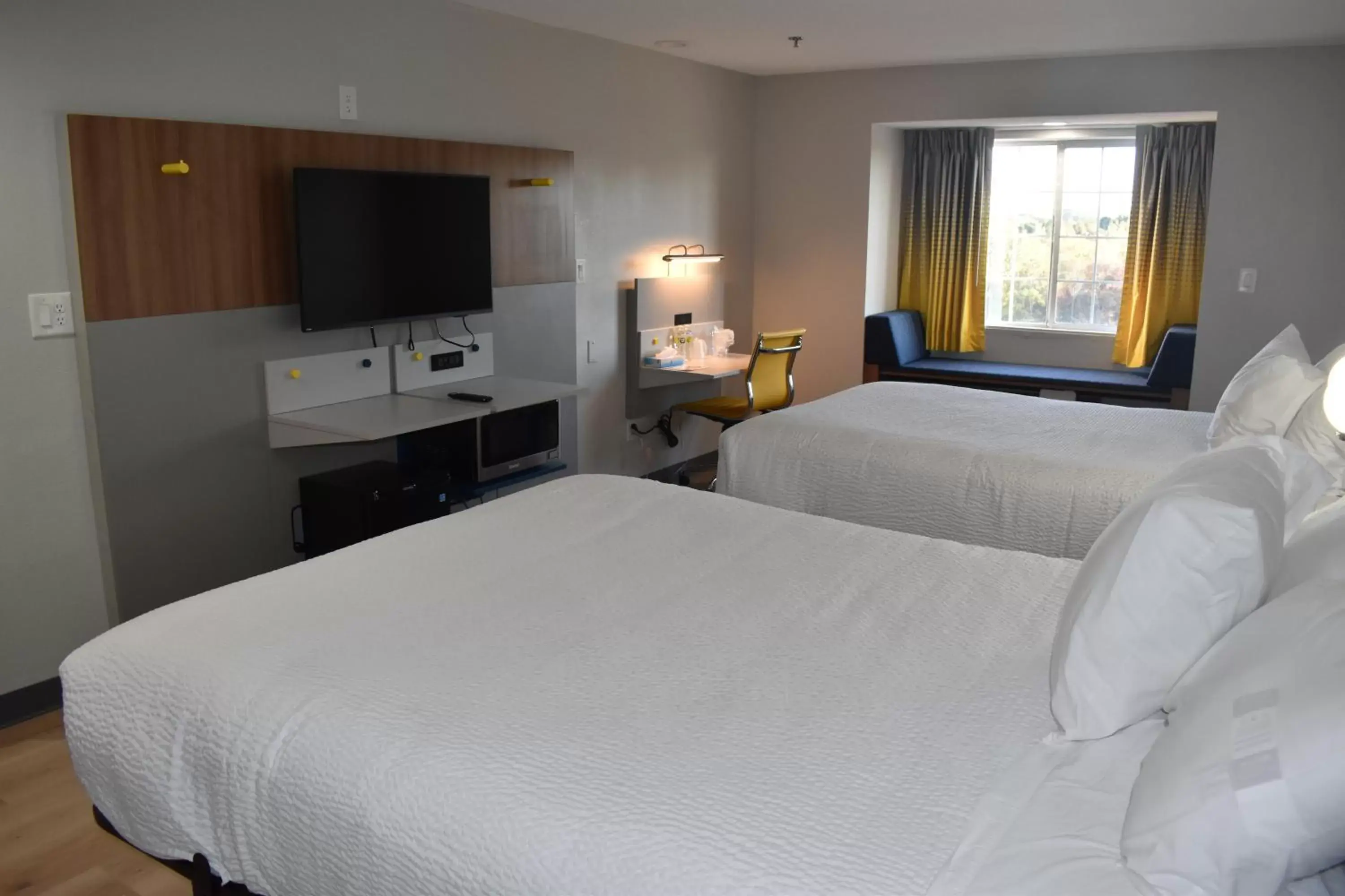TV and multimedia, Bed in Microtel Inn & Suites by Wyndham Stockbridge/Atlanta I-75