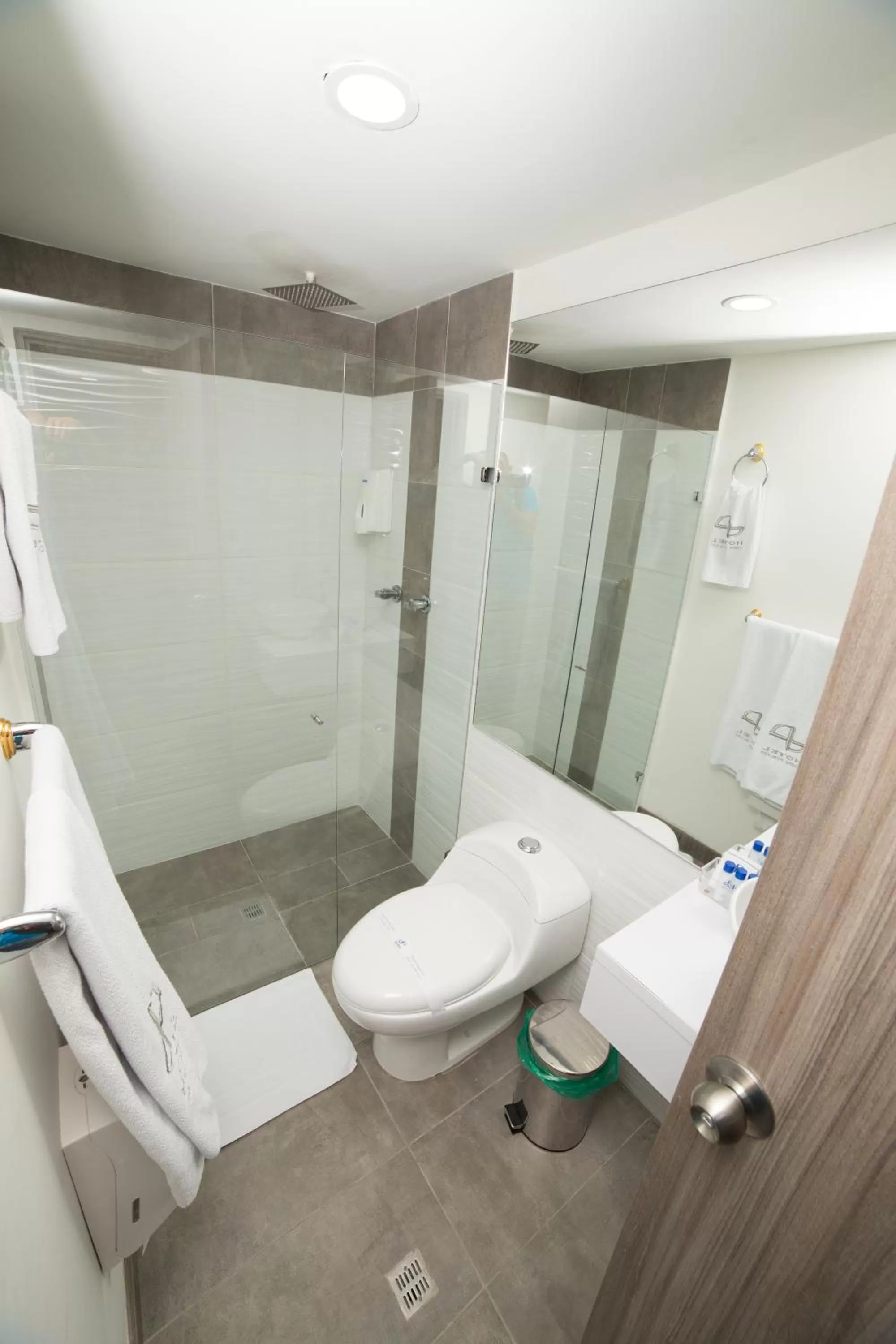 Toilet in Hotel Torre Poblado