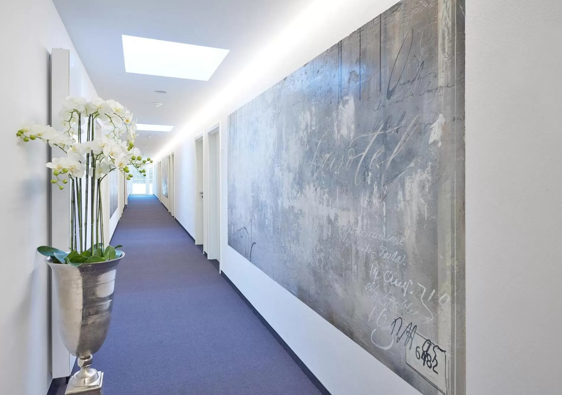 Area and facilities in Fairotel