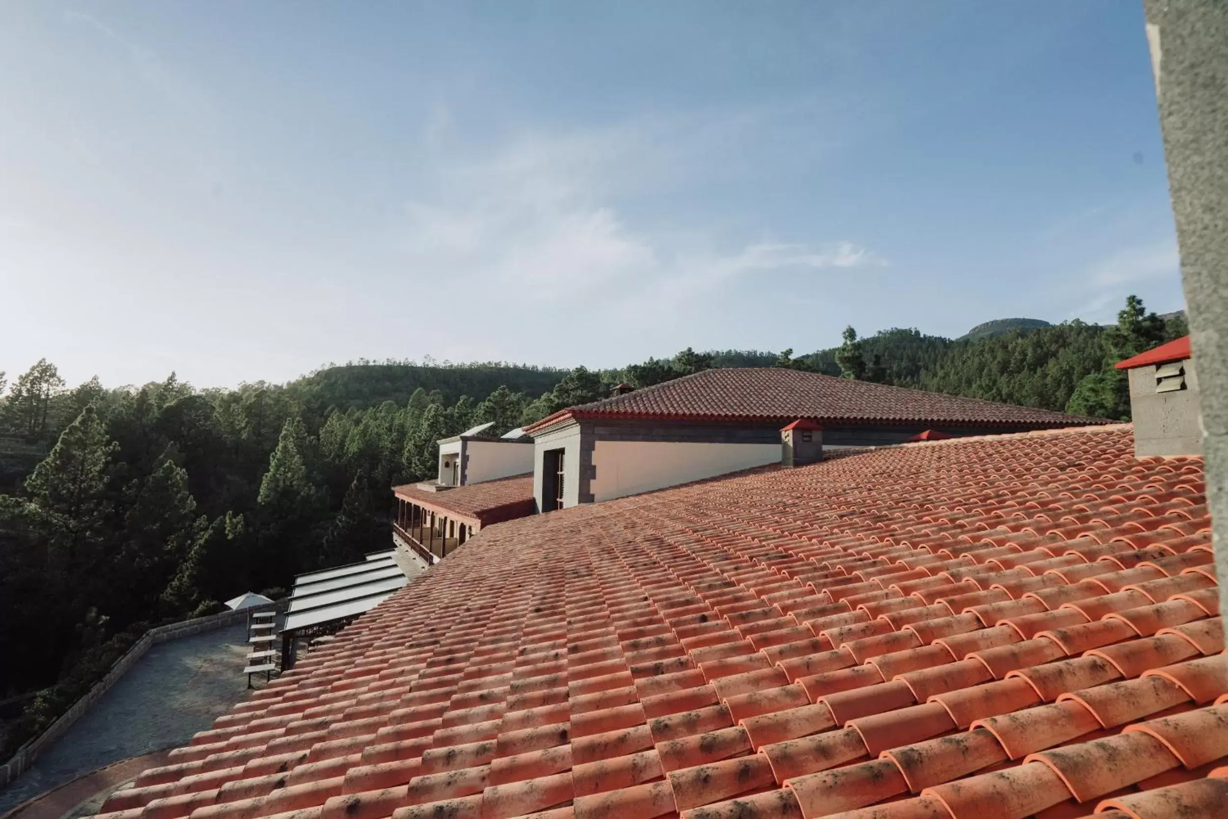 Garden view in Hotel Spa Villalba