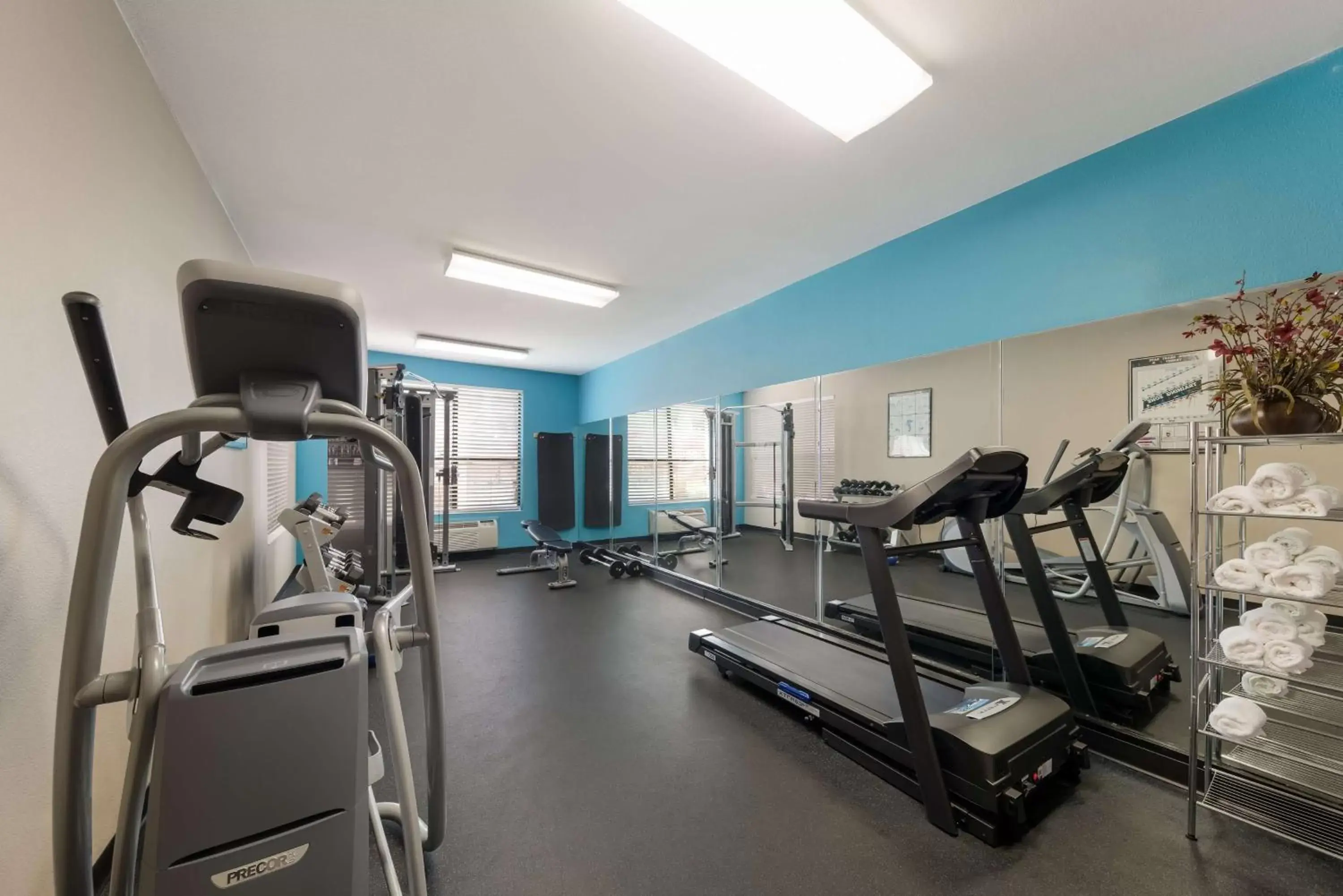 Fitness centre/facilities, Fitness Center/Facilities in SureStay Plus Hotel by Best Western Plano