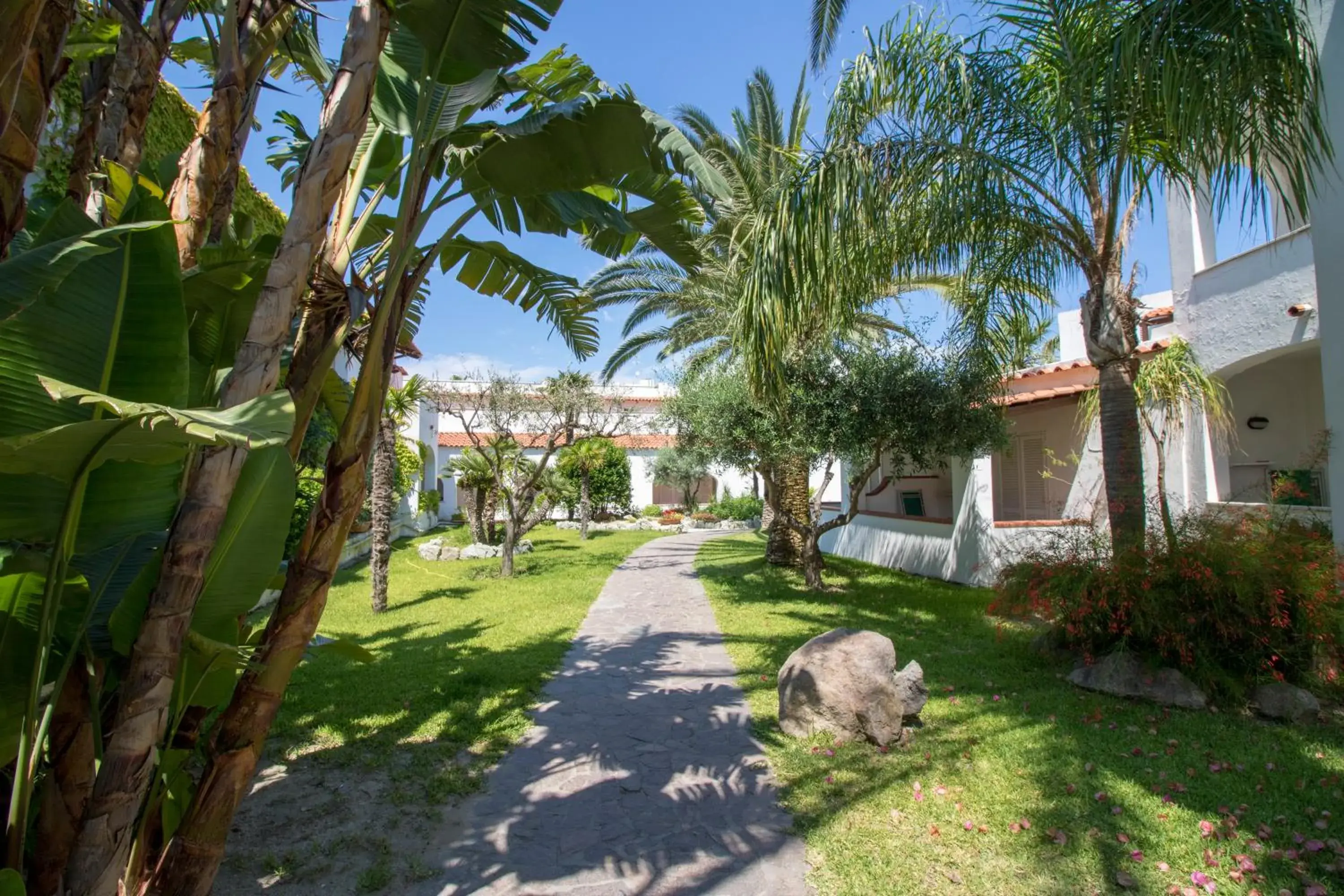 Garden in Hotel Terme Royal Palm