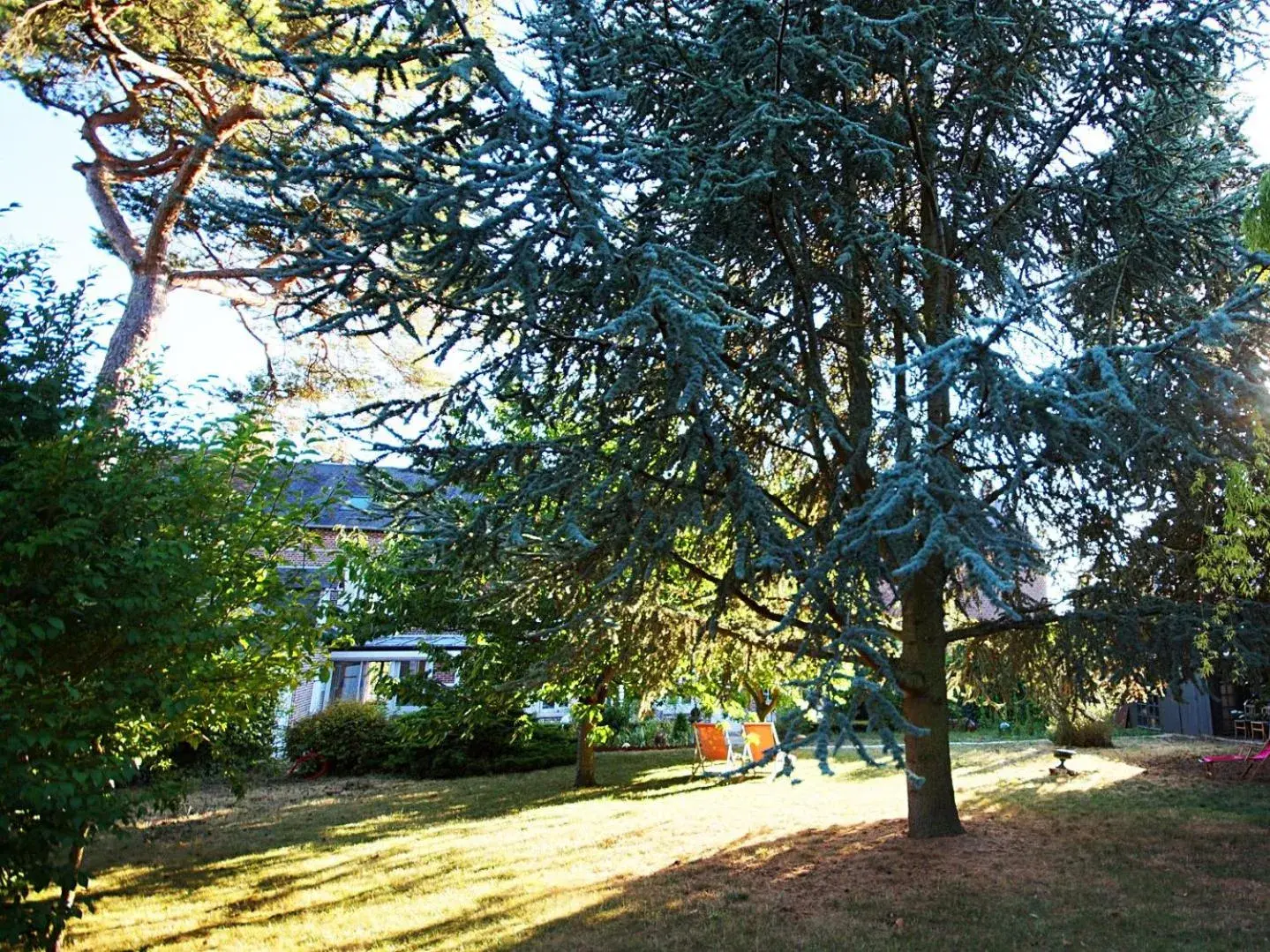 Property building, Garden in La Salamandre