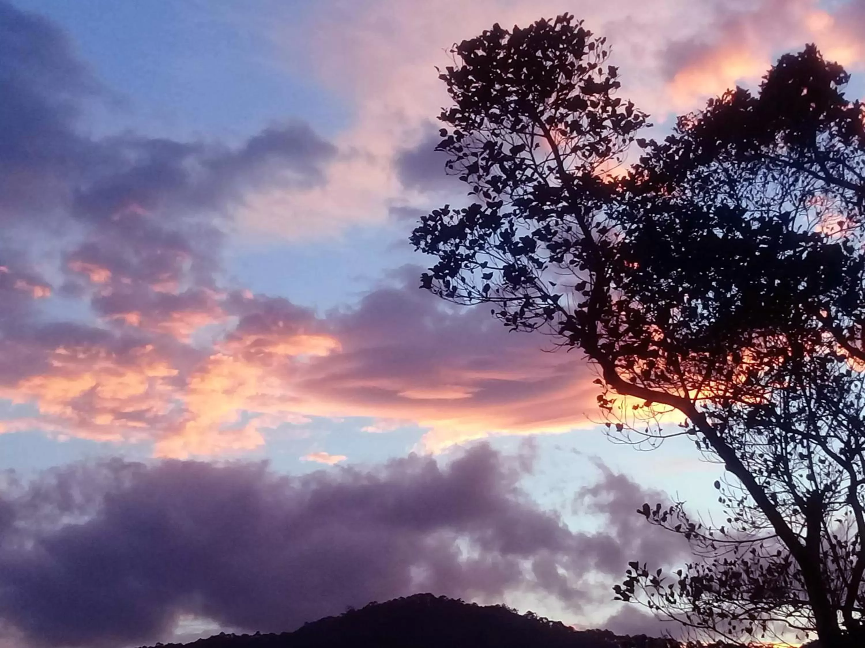 Sunrise in Saffron Eco Cottage