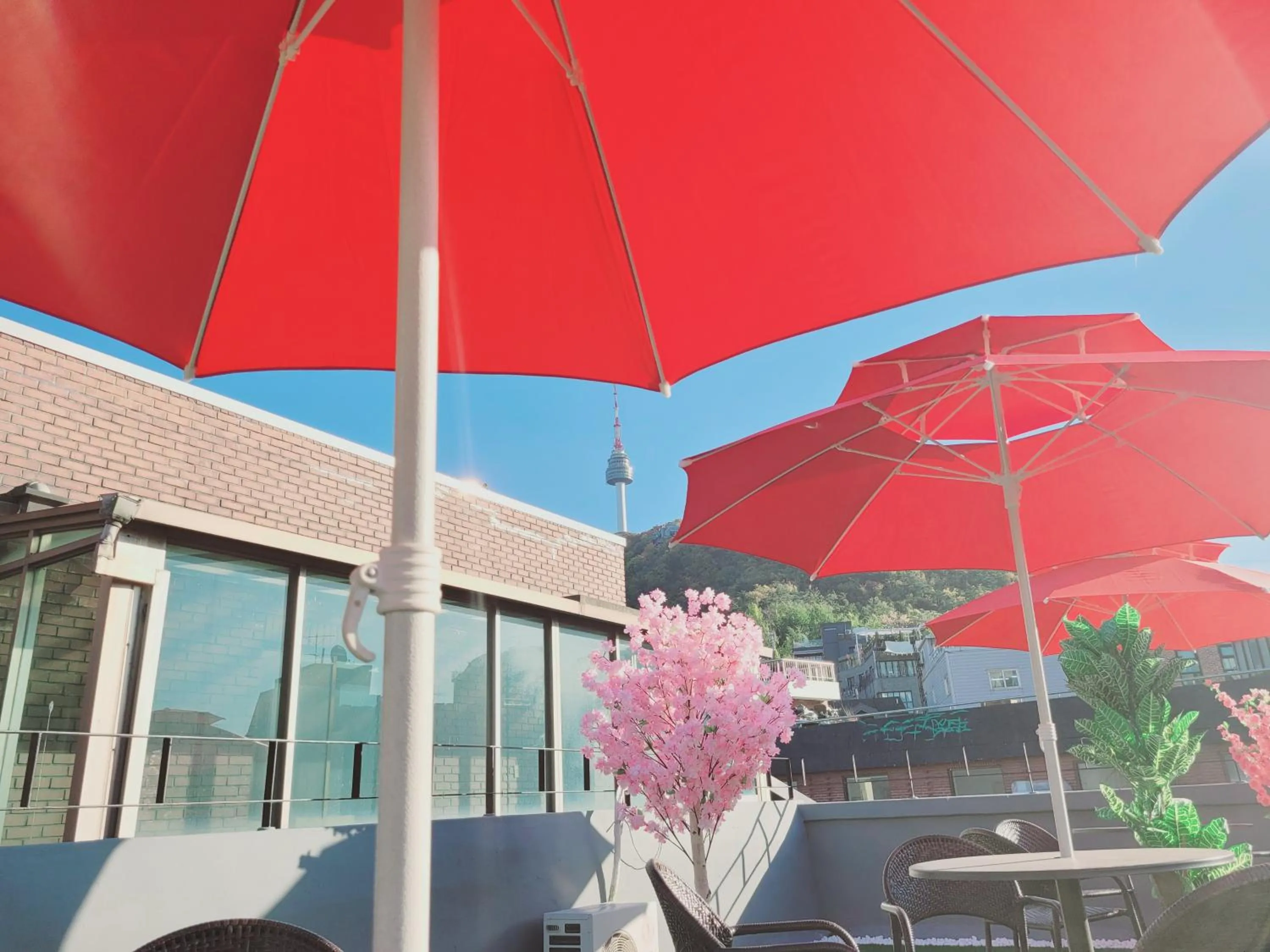 Property building in Olive Hostel MyeongDong