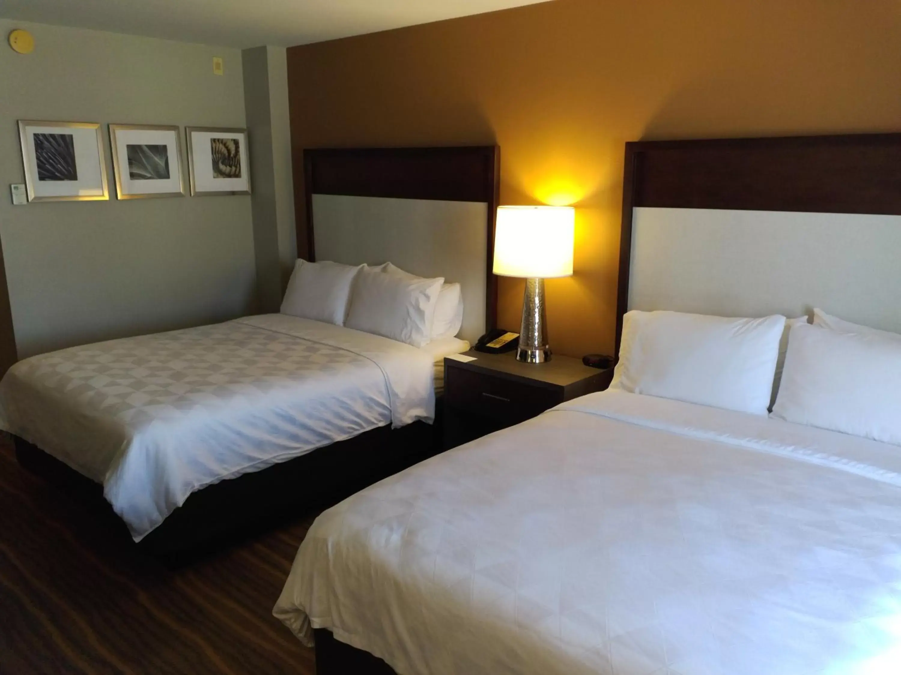 Bedroom, Bed in Holiday Inn Hotel and Suites Albuquerque - North Interstate 25, an IHG Hotel