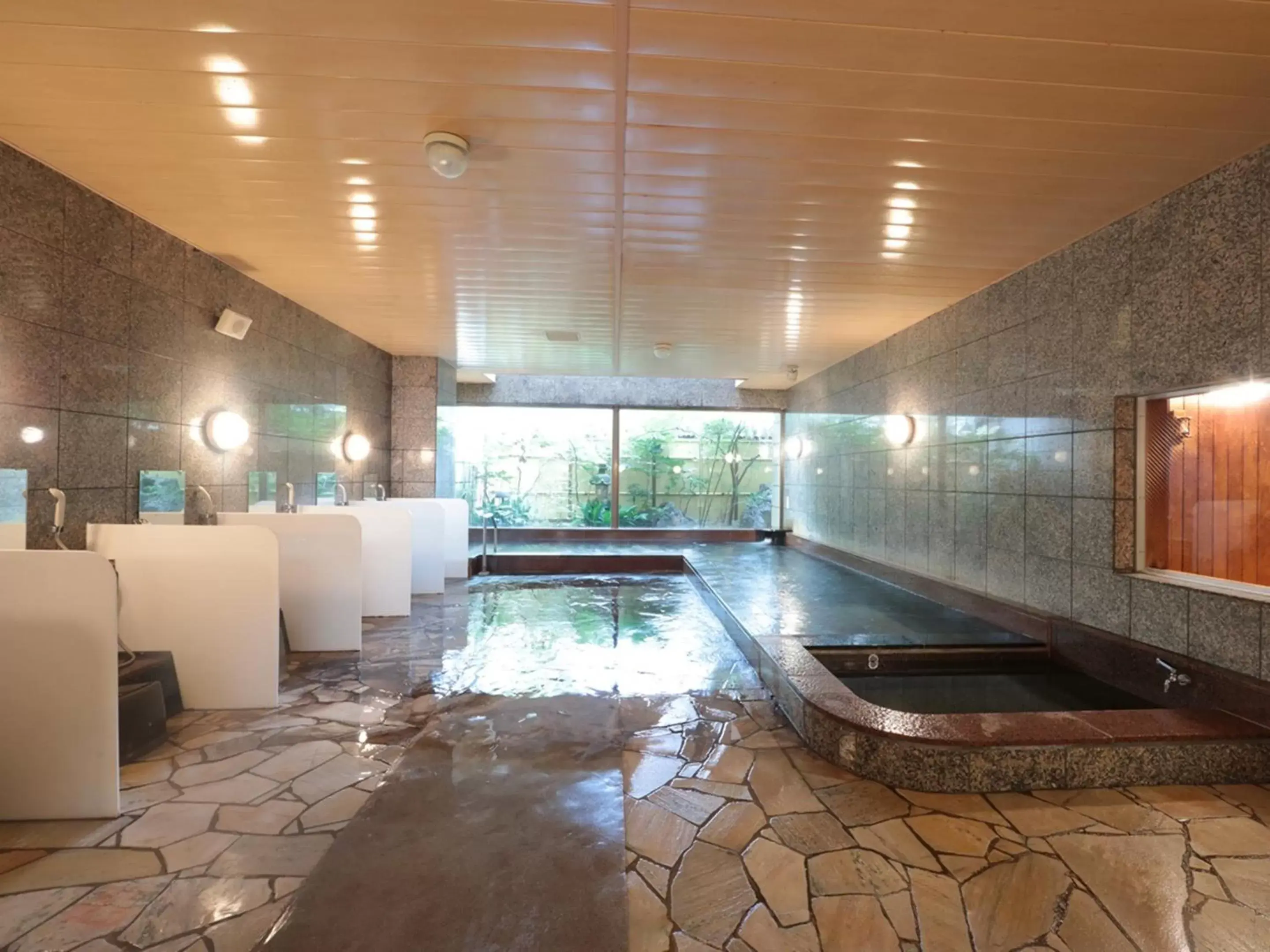 Hot Spring Bath, Swimming Pool in Hotel Monarque Tottori