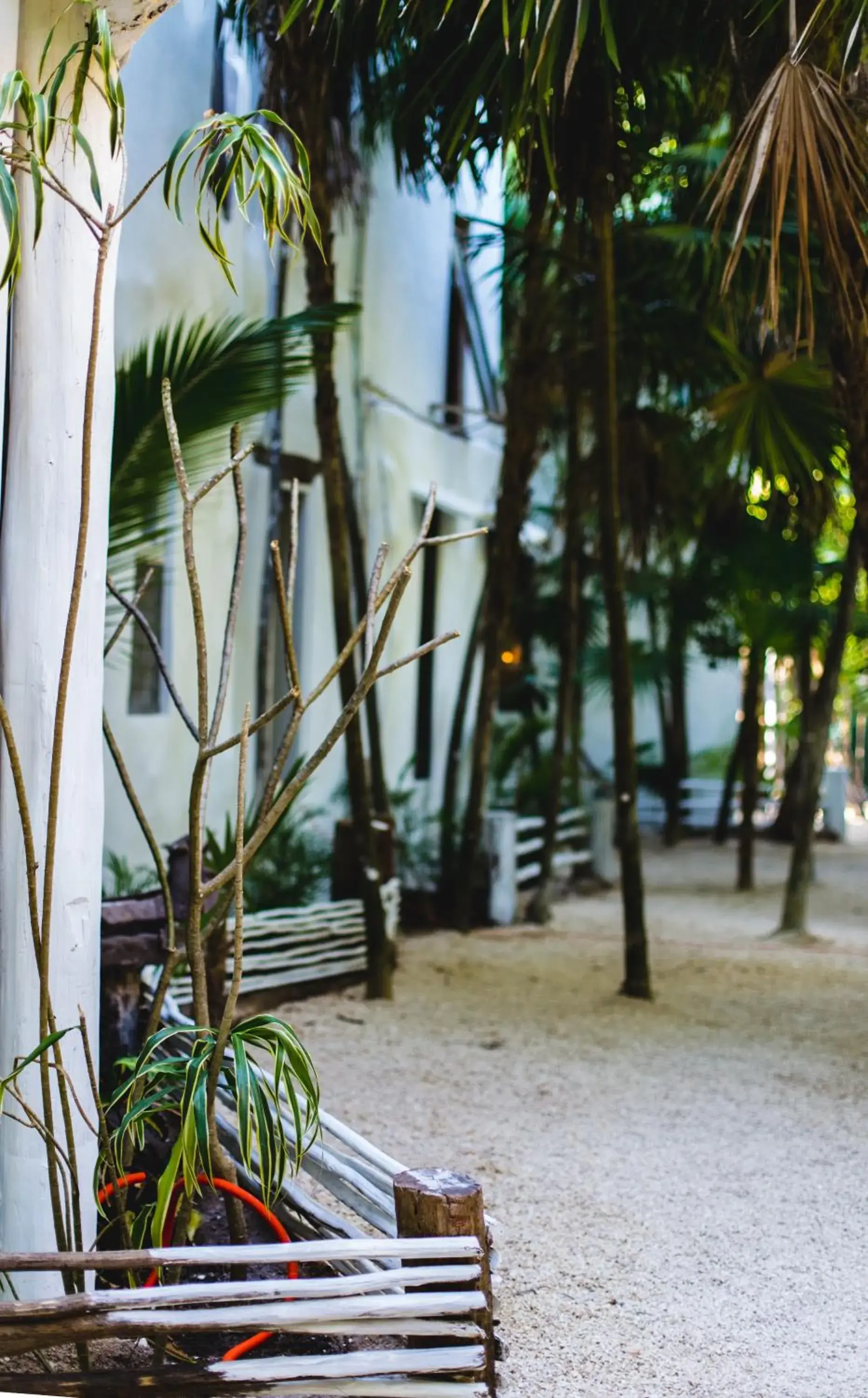 Garden in Casa Ambar Tulum - Great location and access to a Private Cenote & Beach 2 Km Away - Adults Only