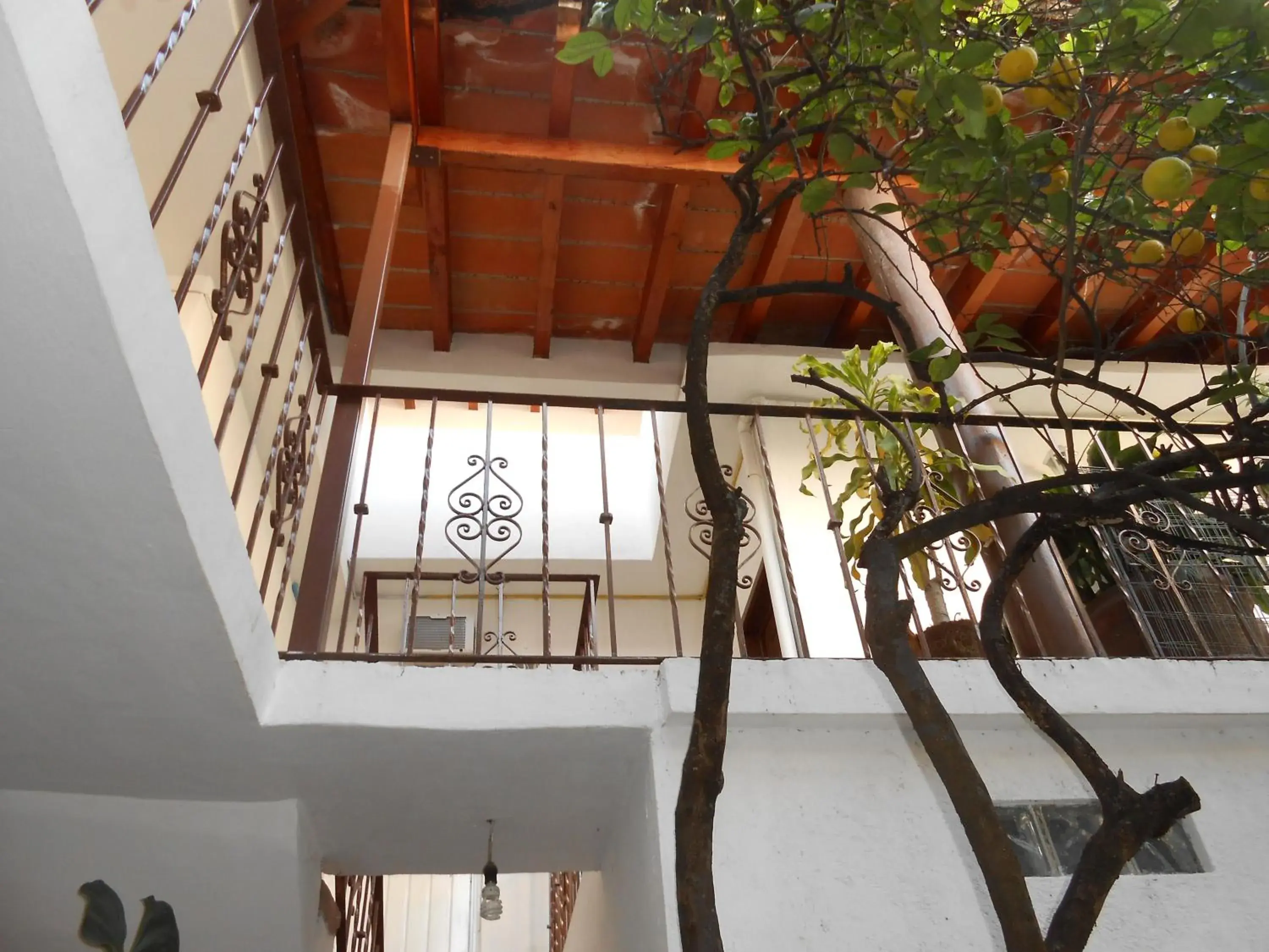 Property building, Balcony/Terrace in Posada Temazcal Santo Domingo