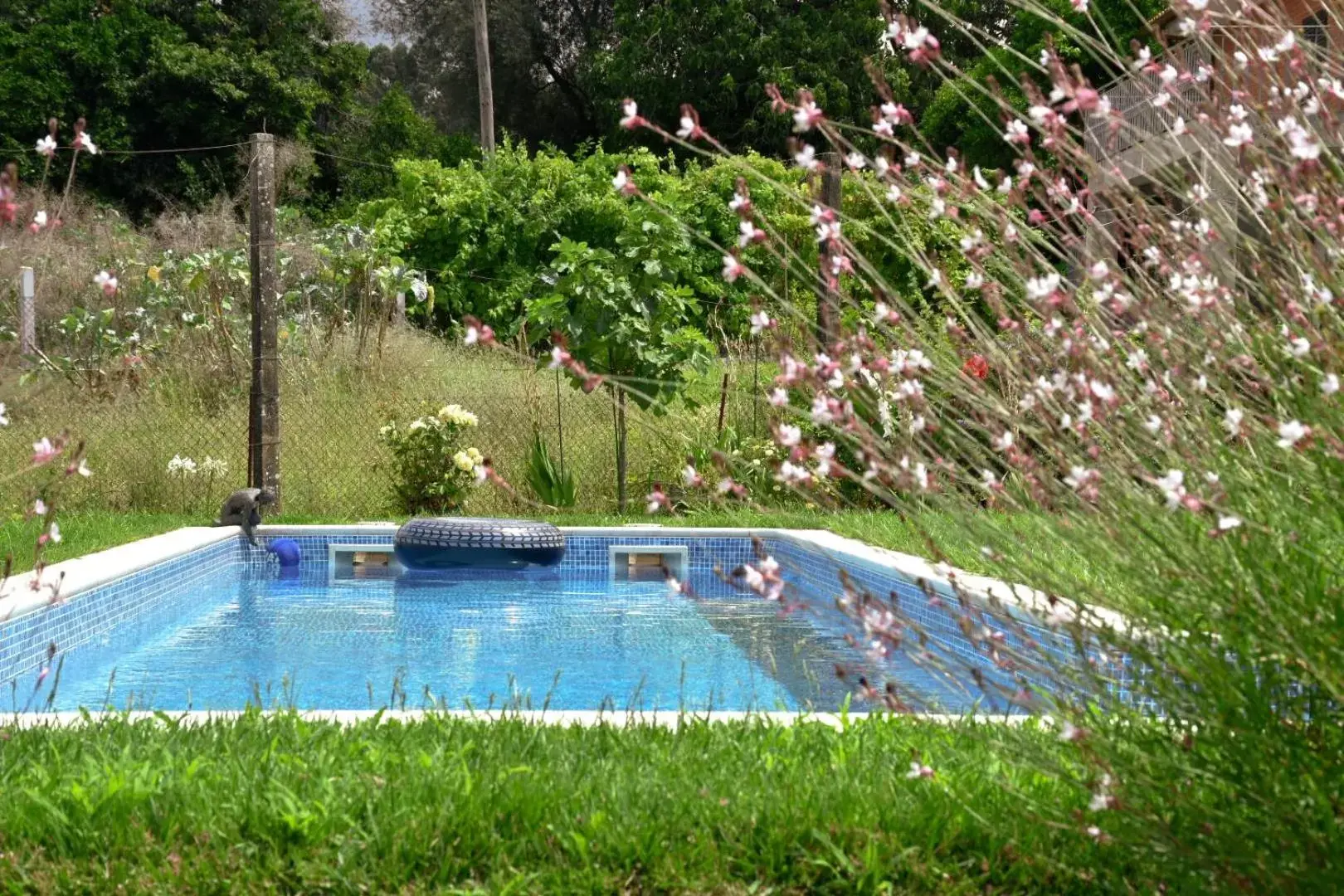 Day, Swimming Pool in B&B Villa Branca Barreiros AL98139