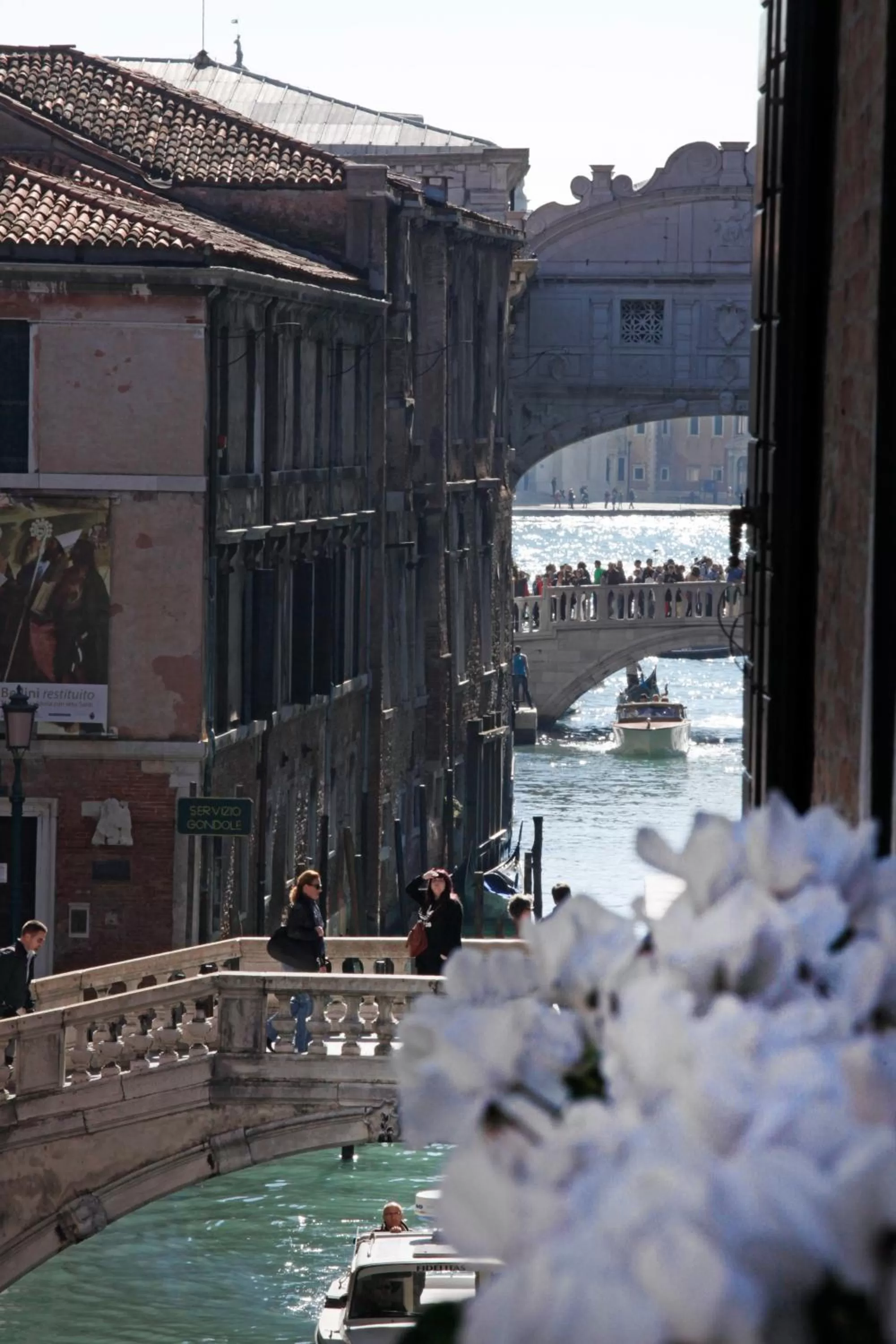 Landmark view in Hotel Donà Palace
