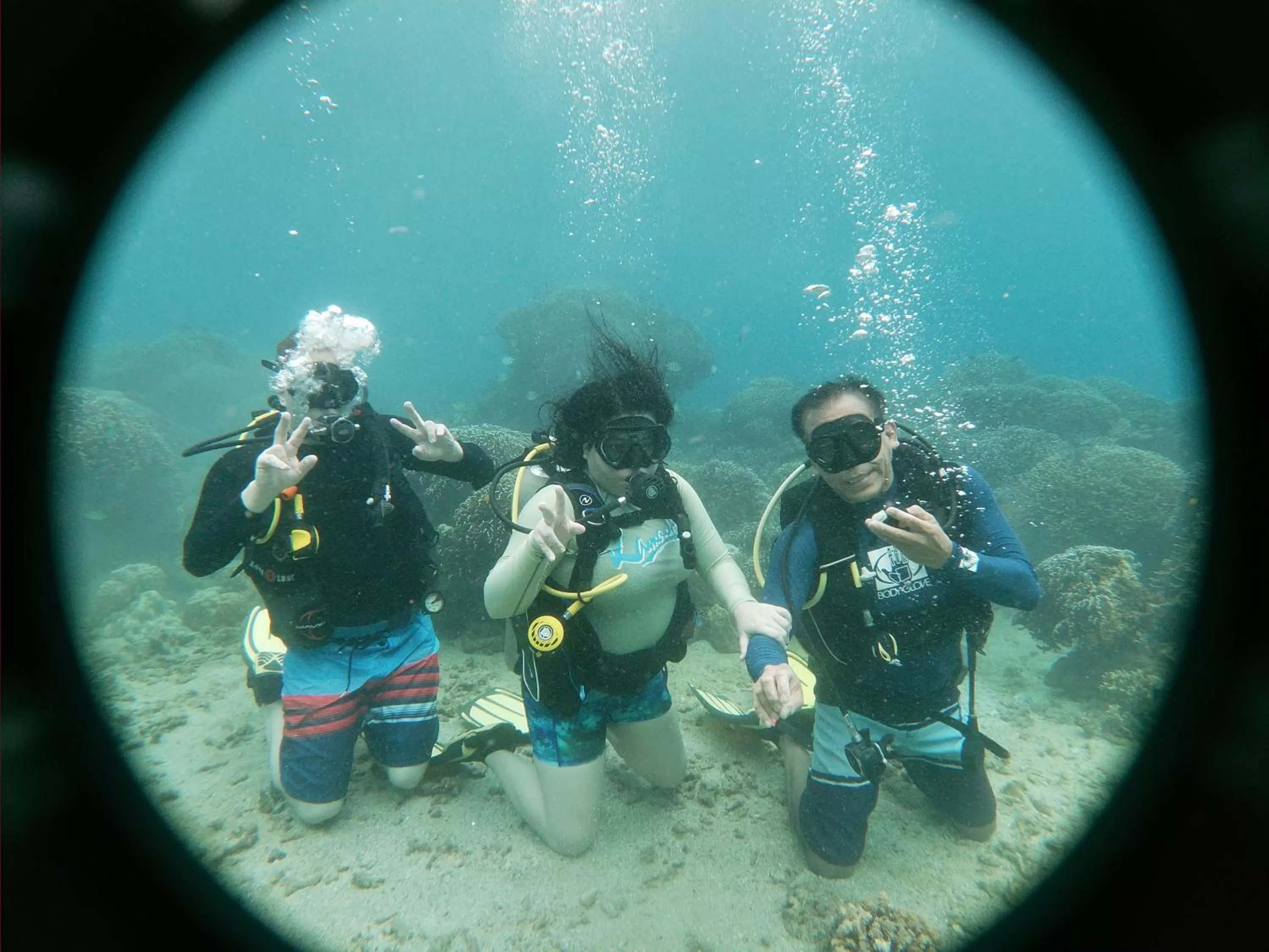 Activities in Paseo Del Mar Seaside Inn