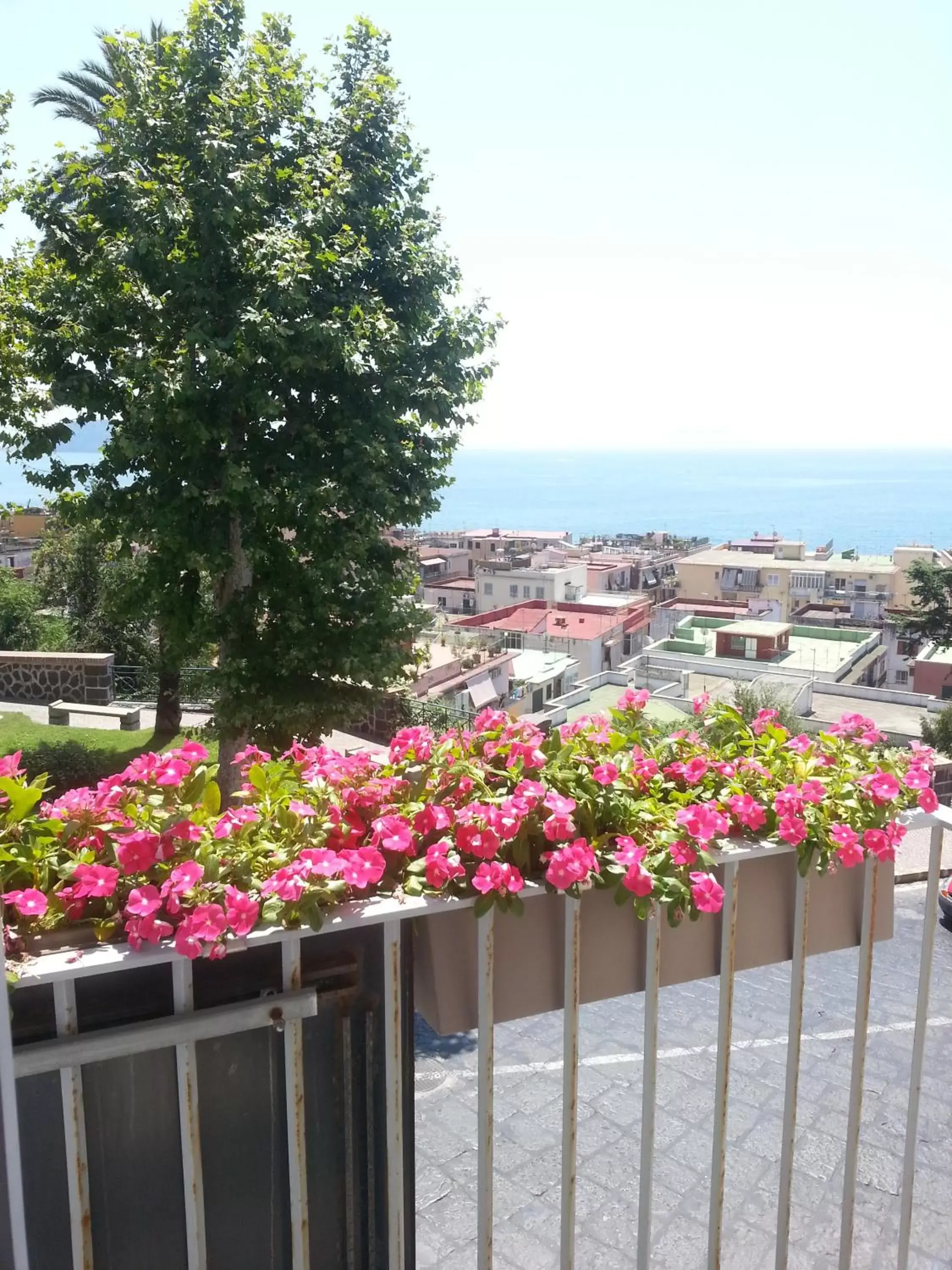 View (from property/room), Sea View in Villa Avellino Historic Residence