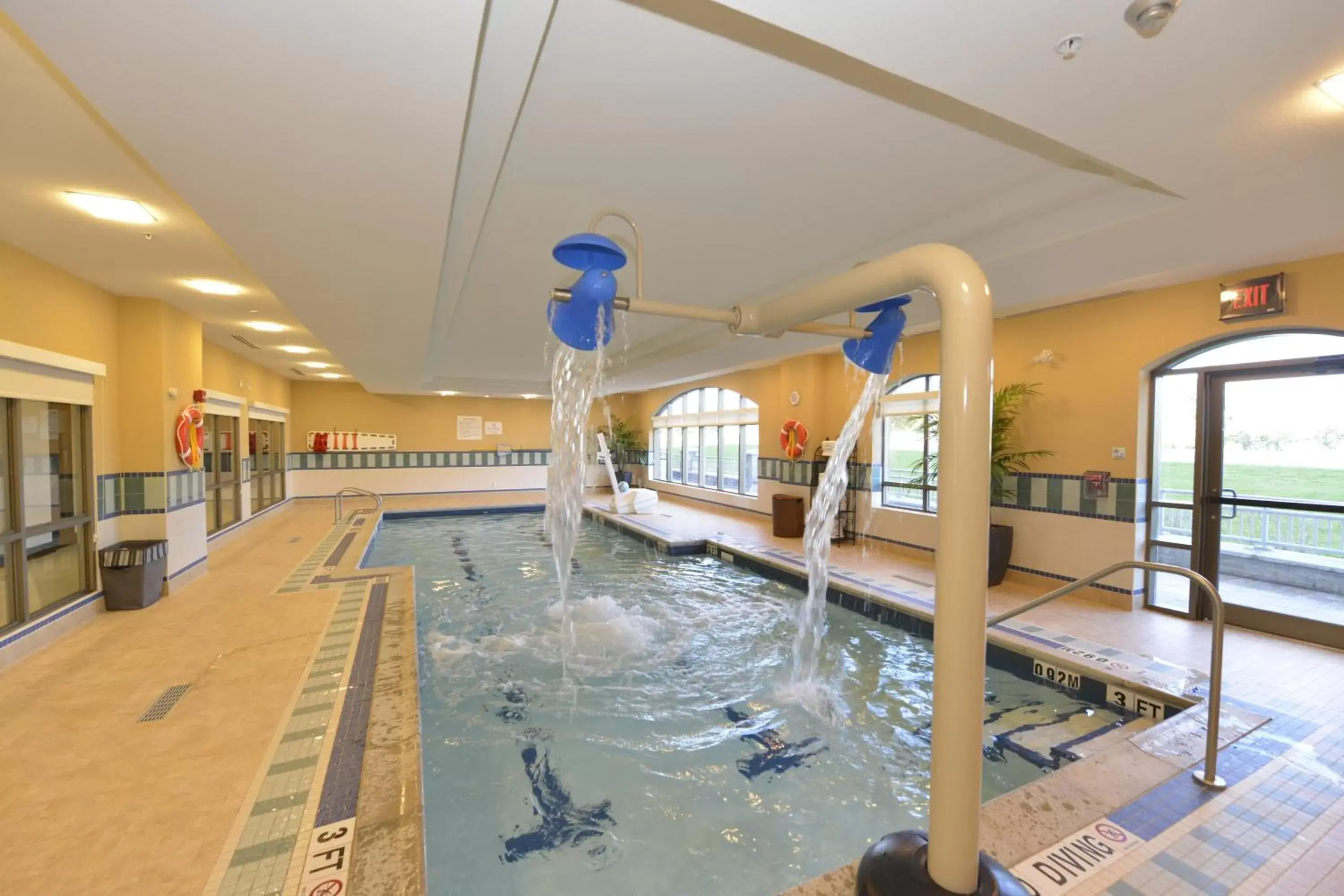 Swimming pool in Holiday Inn Express Hotel & Suites Waterloo - St. Jacobs Area, an IHG Hotel