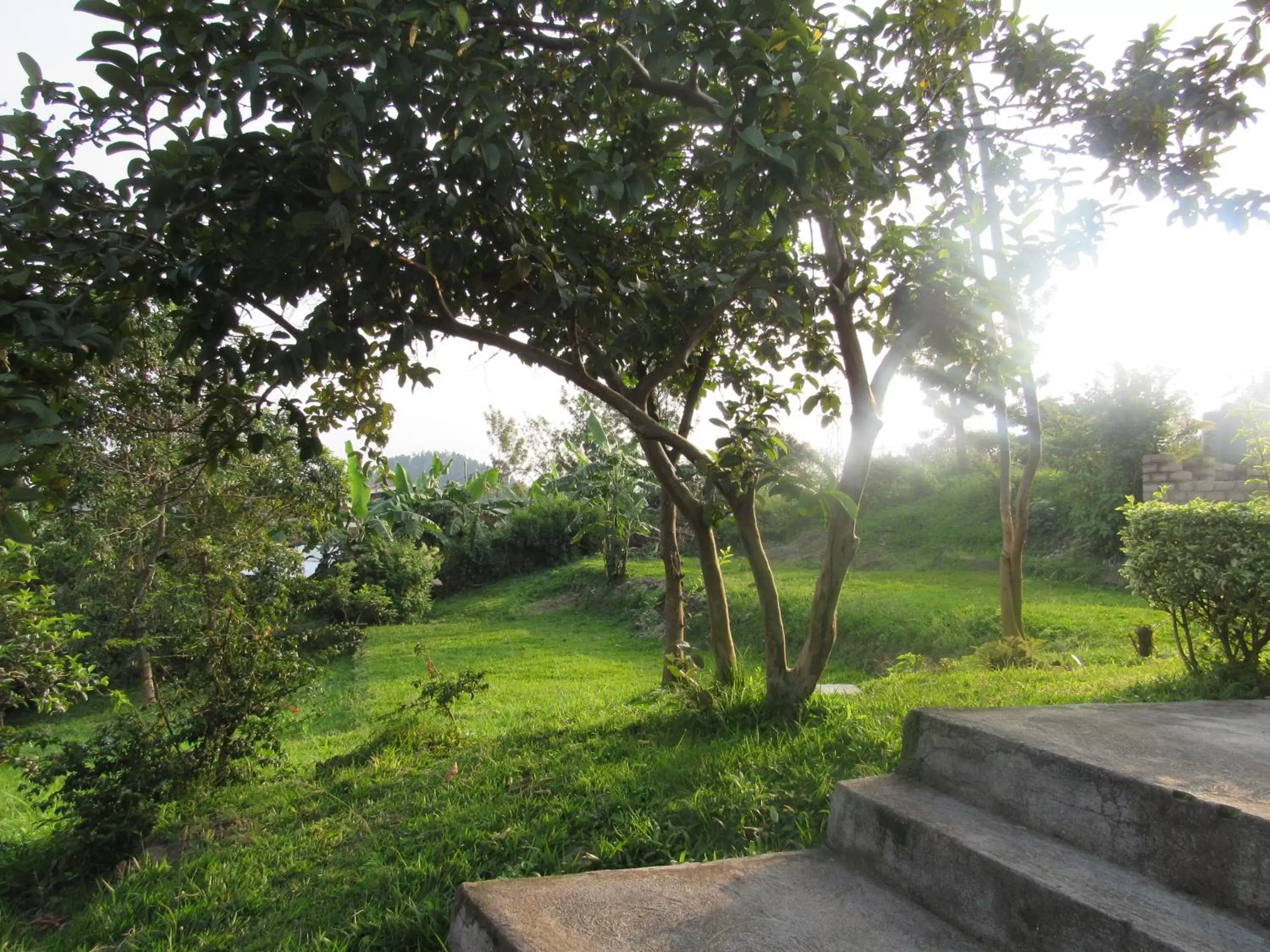 Garden view in Rebero Kivu Resort Garden view in Rebero Kivu Resort