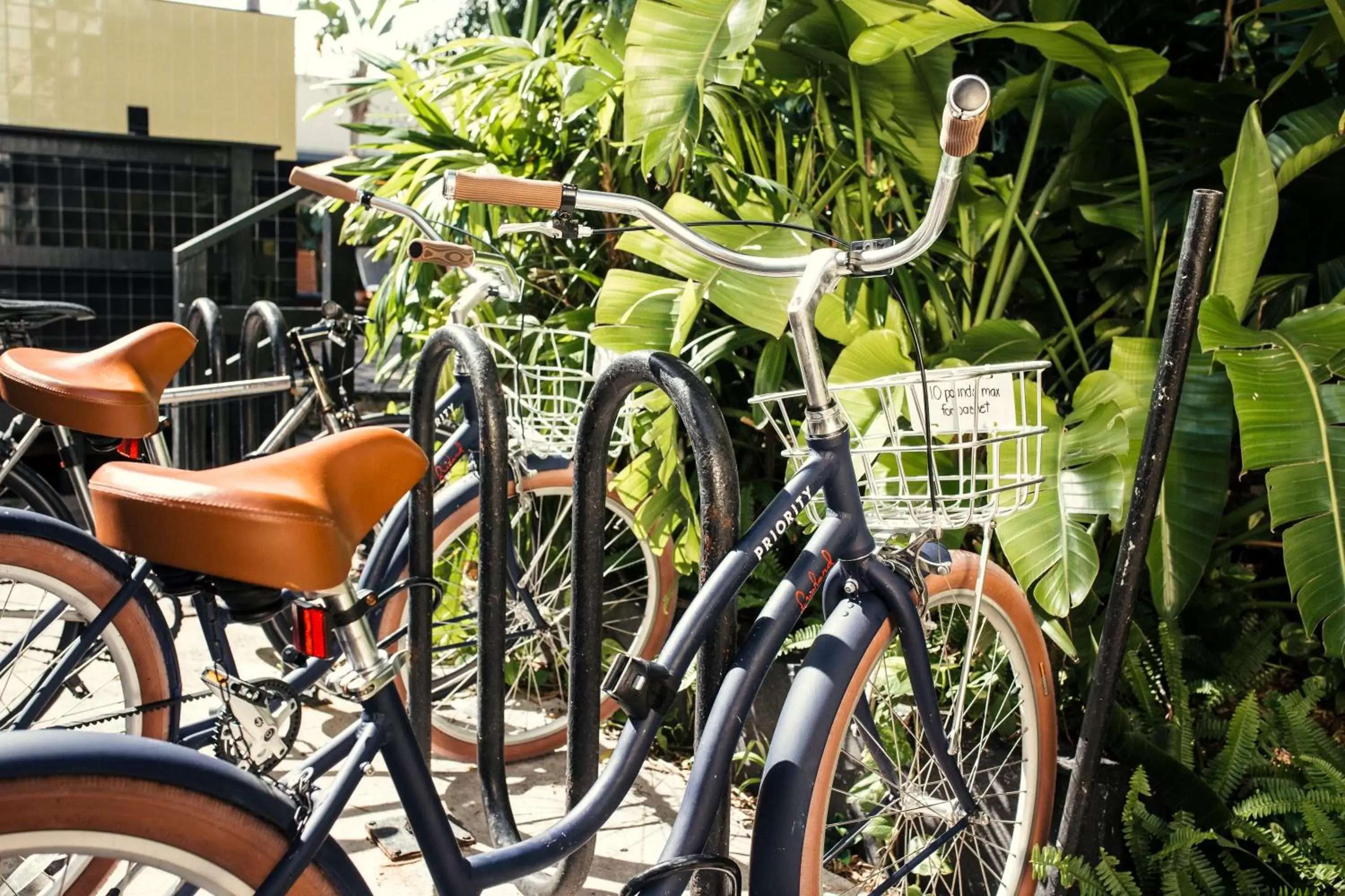 Garden, Biking in Freehand Miami