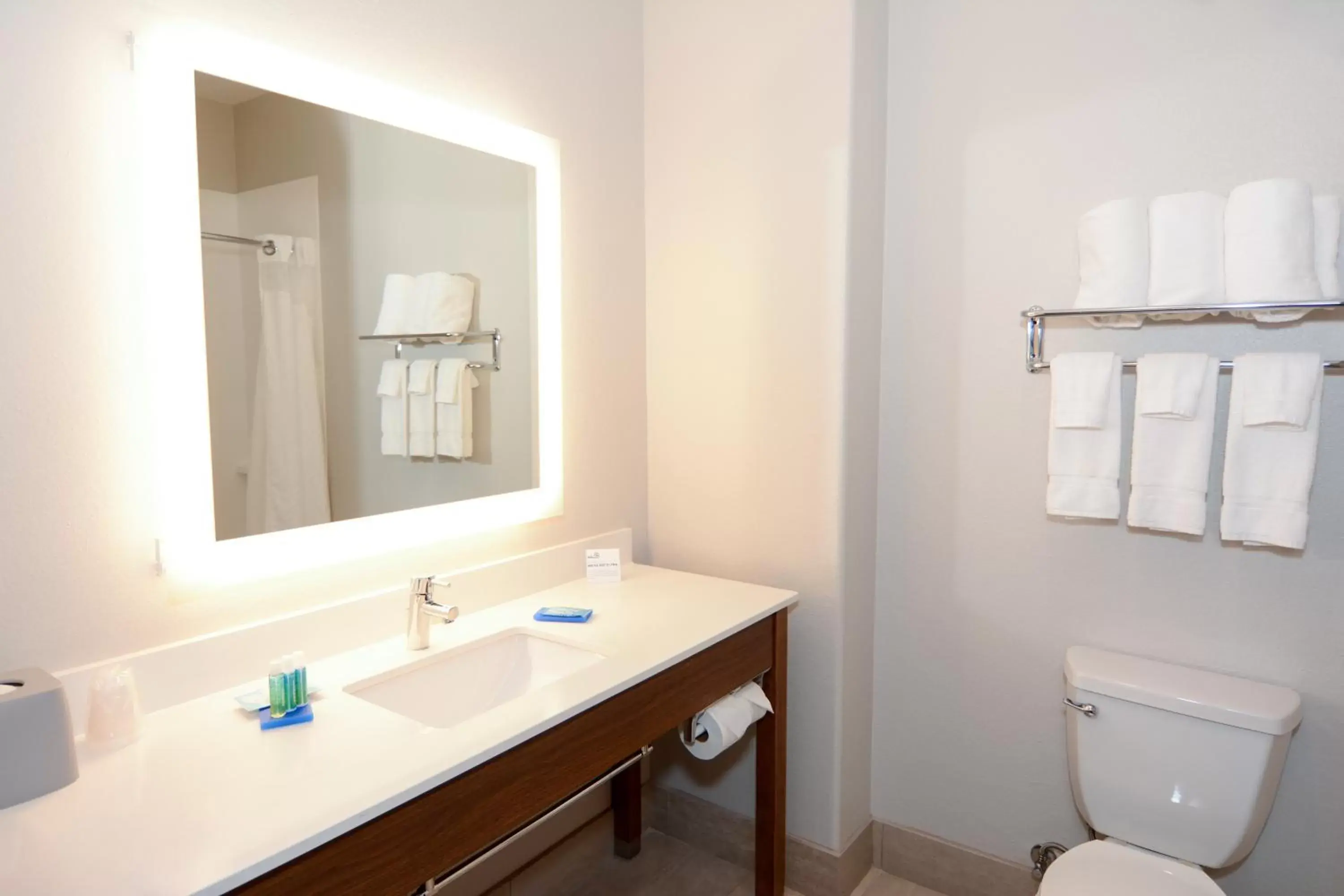 Bathroom in Holiday Inn Express Hotel & Suites New Boston, an IHG Hotel