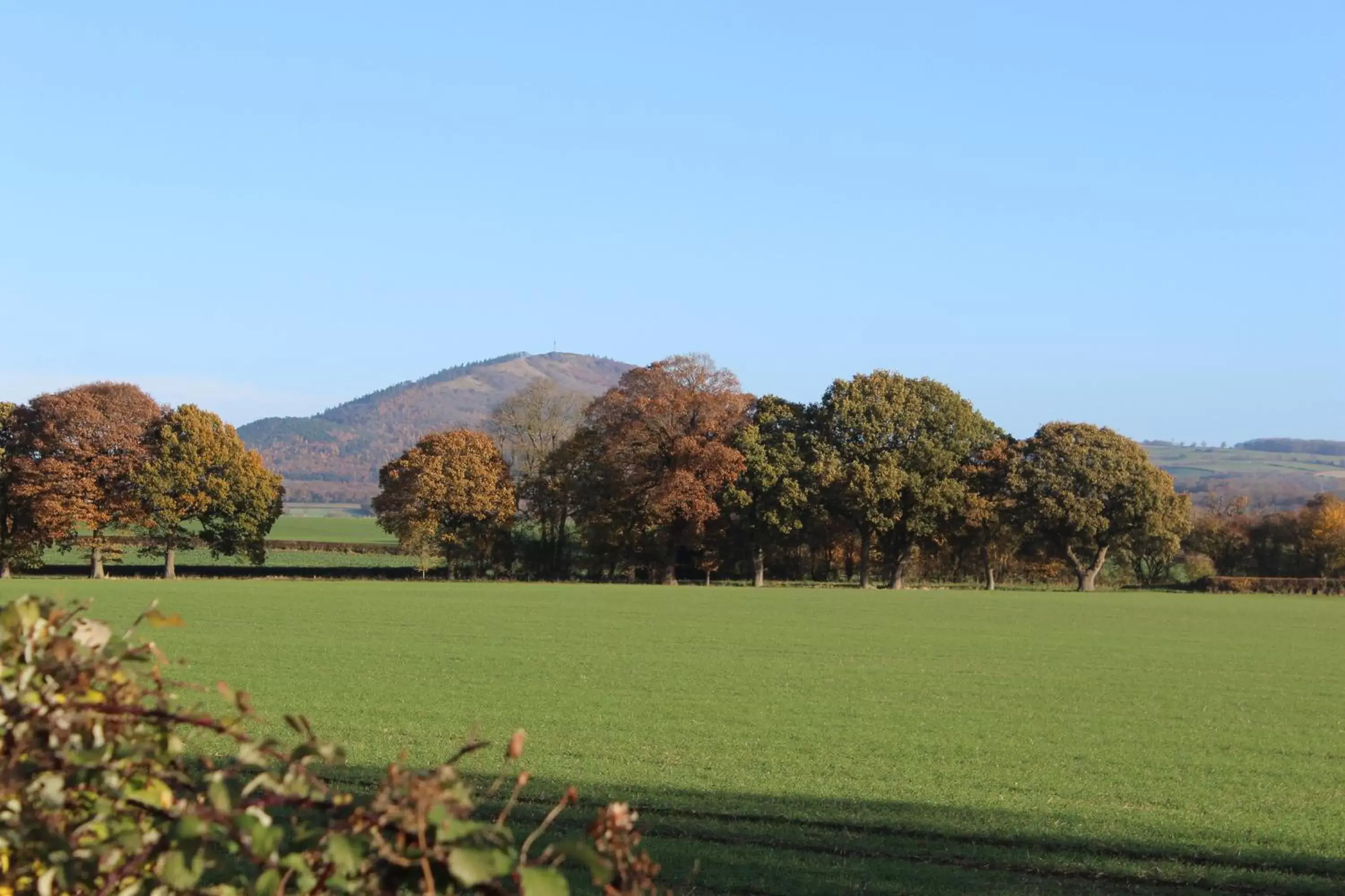 Nearby landmark in The Huntsman of Little Wenlock