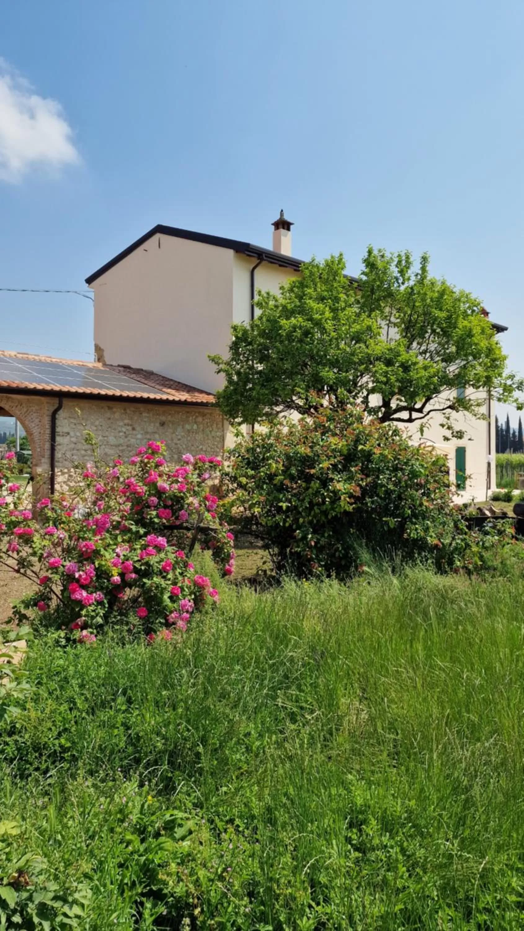 Garden, Property Building in Casa Ossan