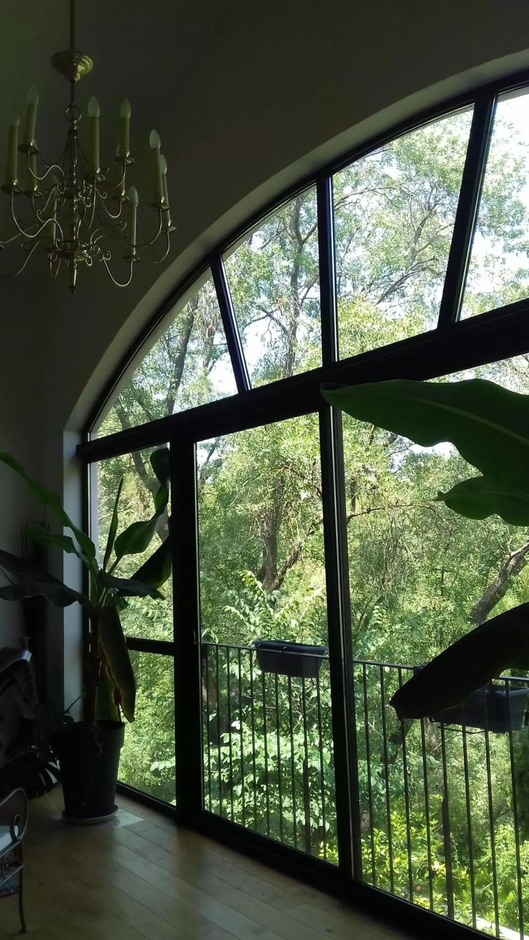 Garden view in Chambres d'hôtes Le Bois Des Frênes