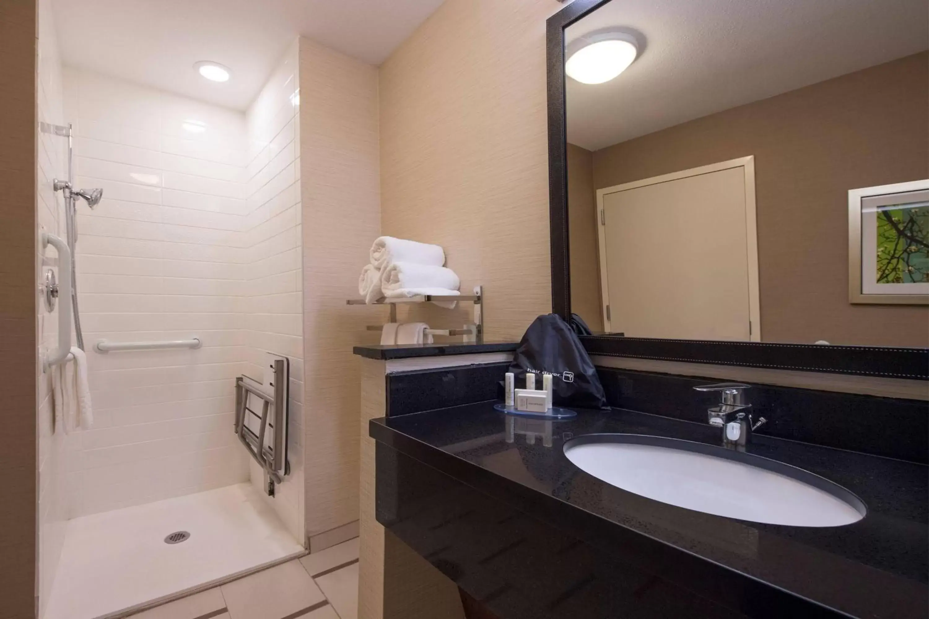 Bathroom in Fairfield Inn & Suites by Marriott Lynchburg Liberty University