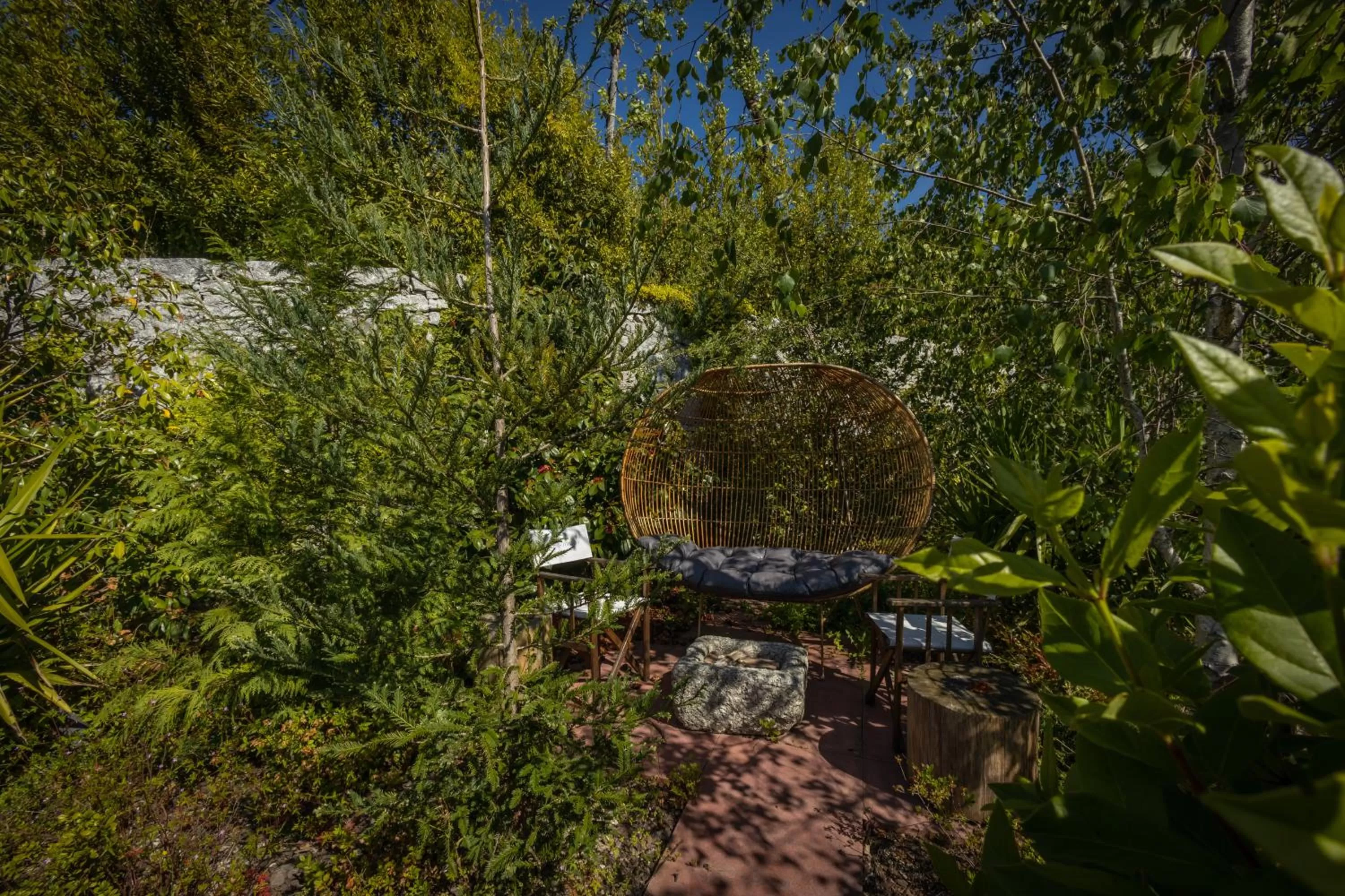 Garden in Vale de São Torcato Hotel Rural