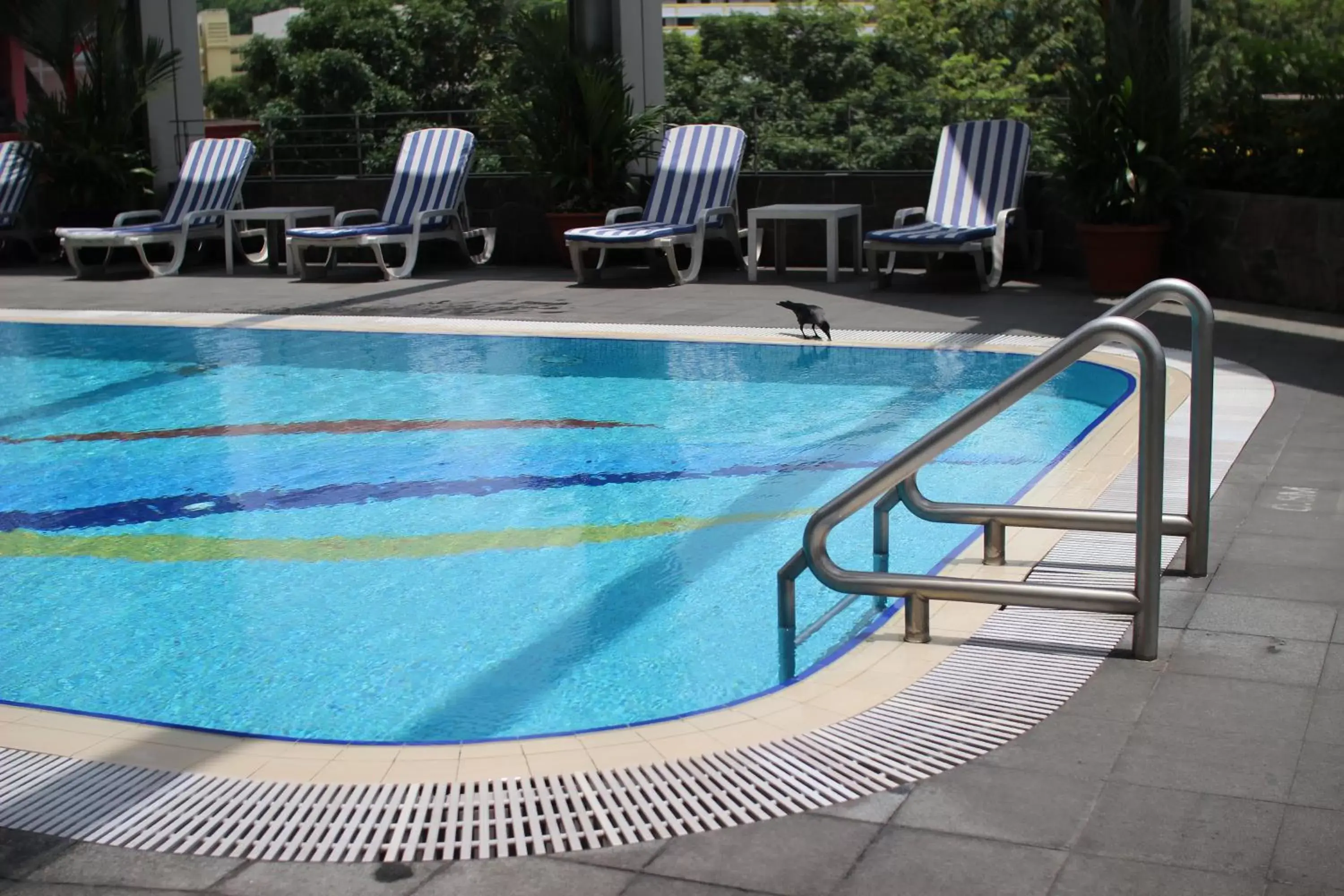 Swimming pool in Furama City Centre Swimming pool in Furama City Centre