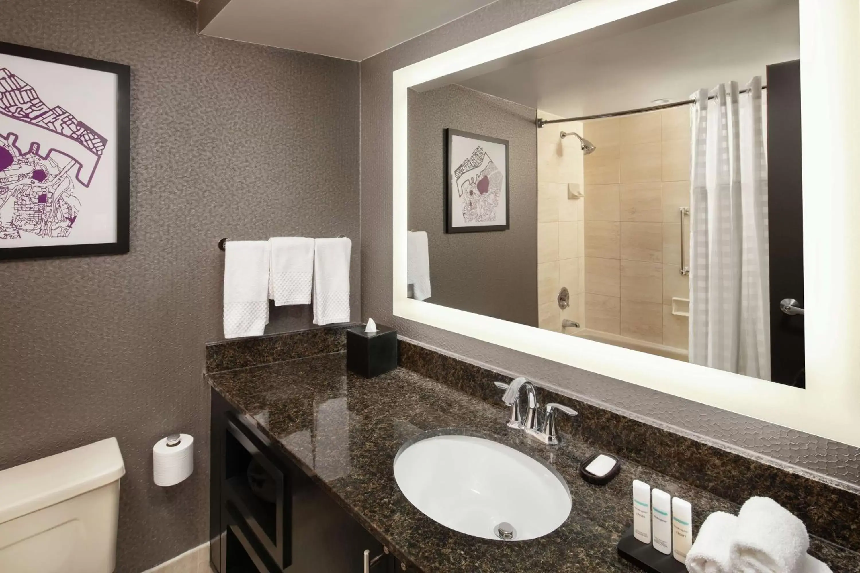 Bathroom in Embassy Suites by Hilton Crystal City National Airport